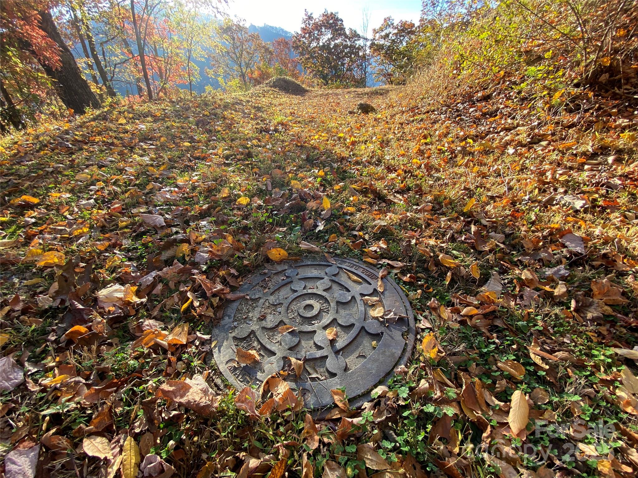 Black Bear Ridge - Land