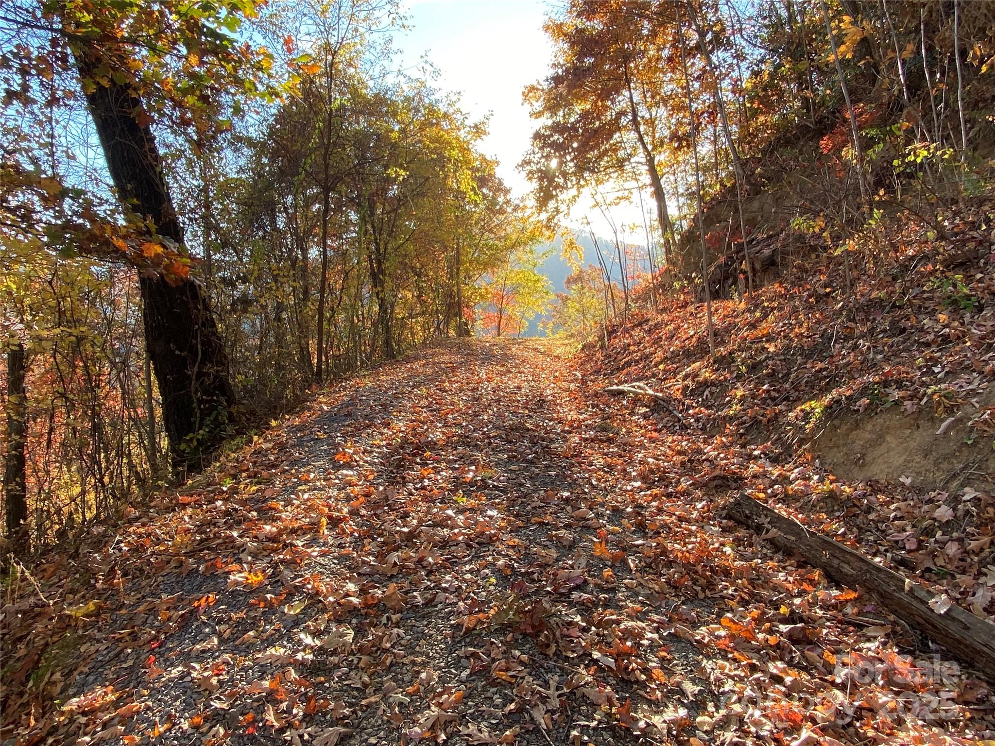 Black Bear Ridge - Land