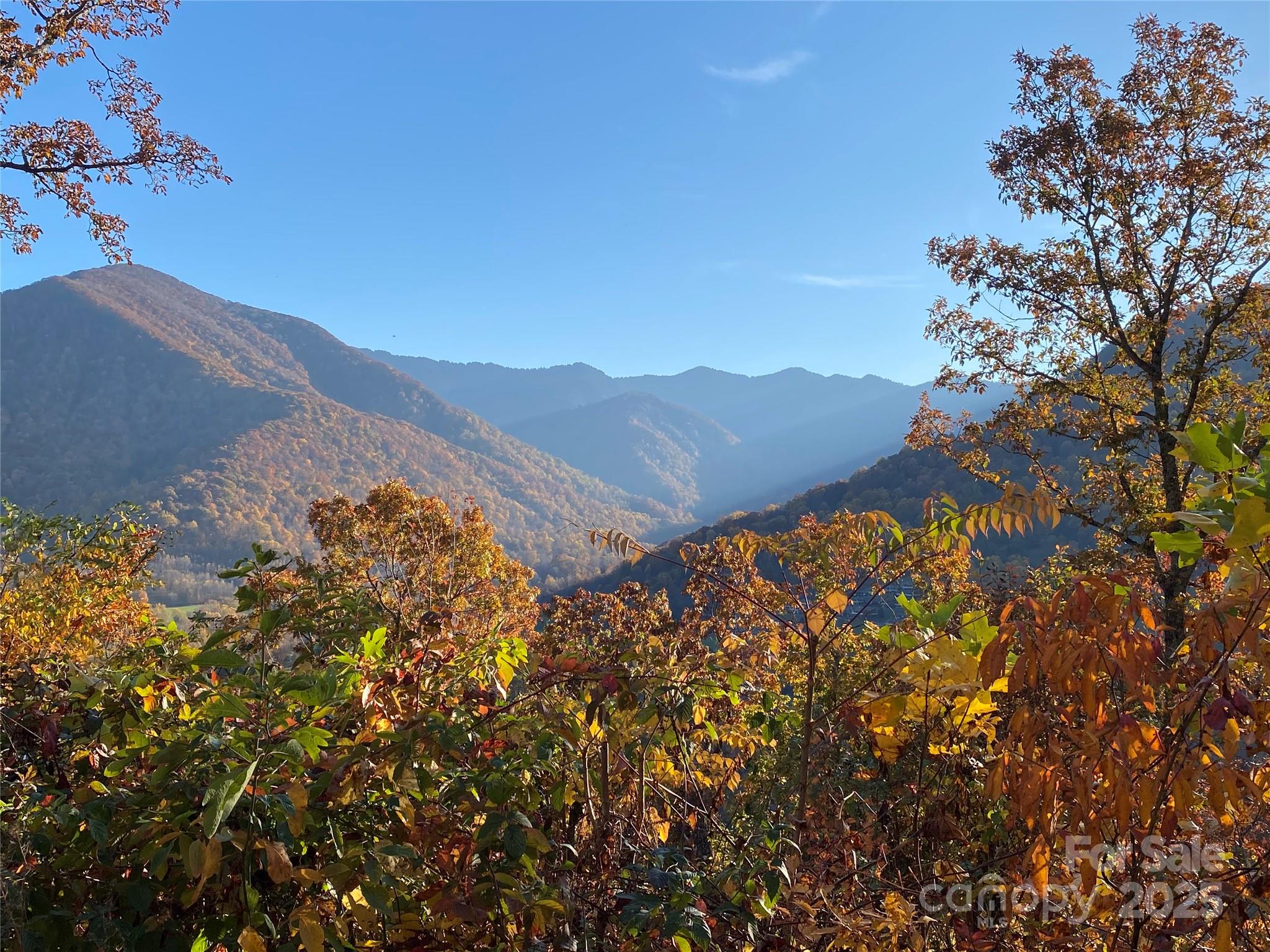 Black Bear Ridge - Land