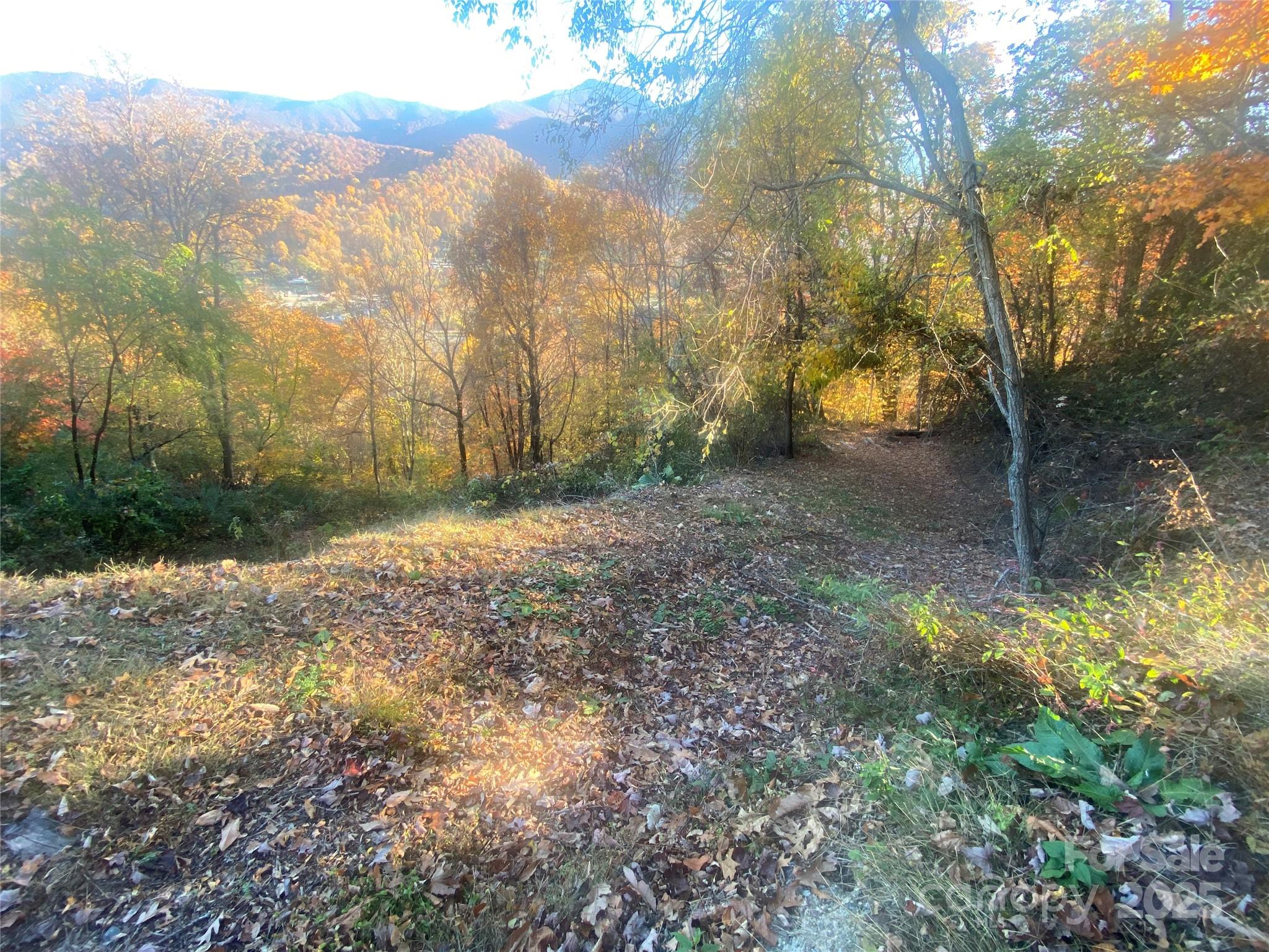 Black Bear Ridge - Land