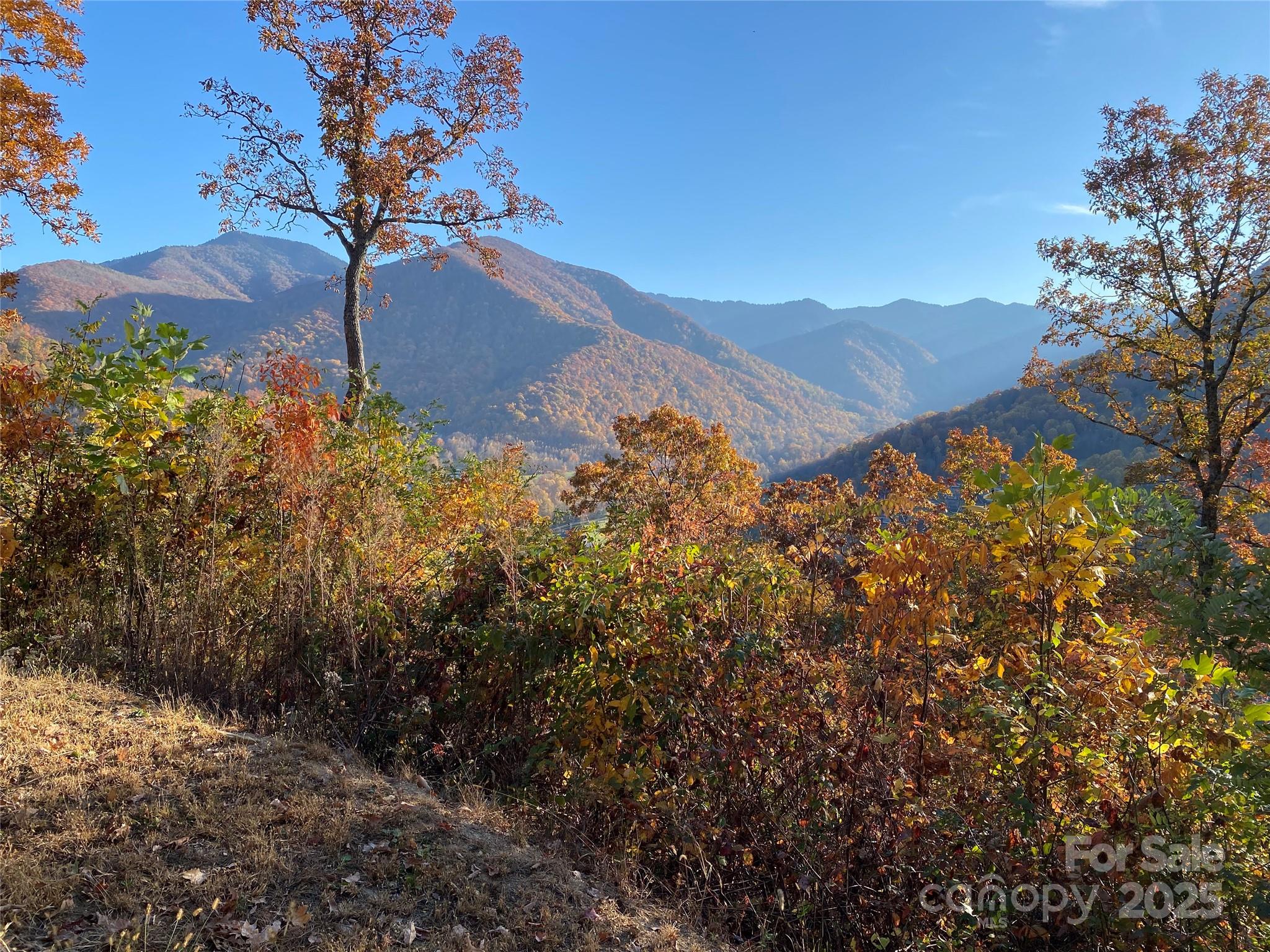 Black Bear Ridge - Land