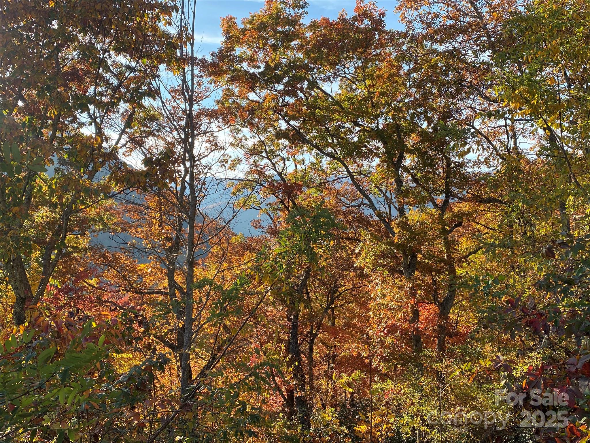 Black Bear Ridge - Land