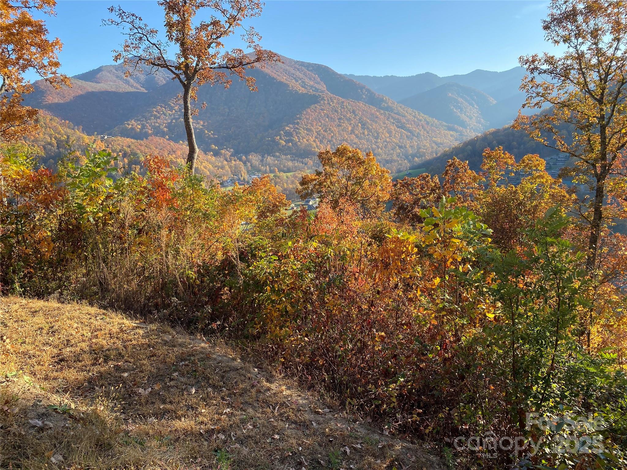 Black Bear Ridge - Land