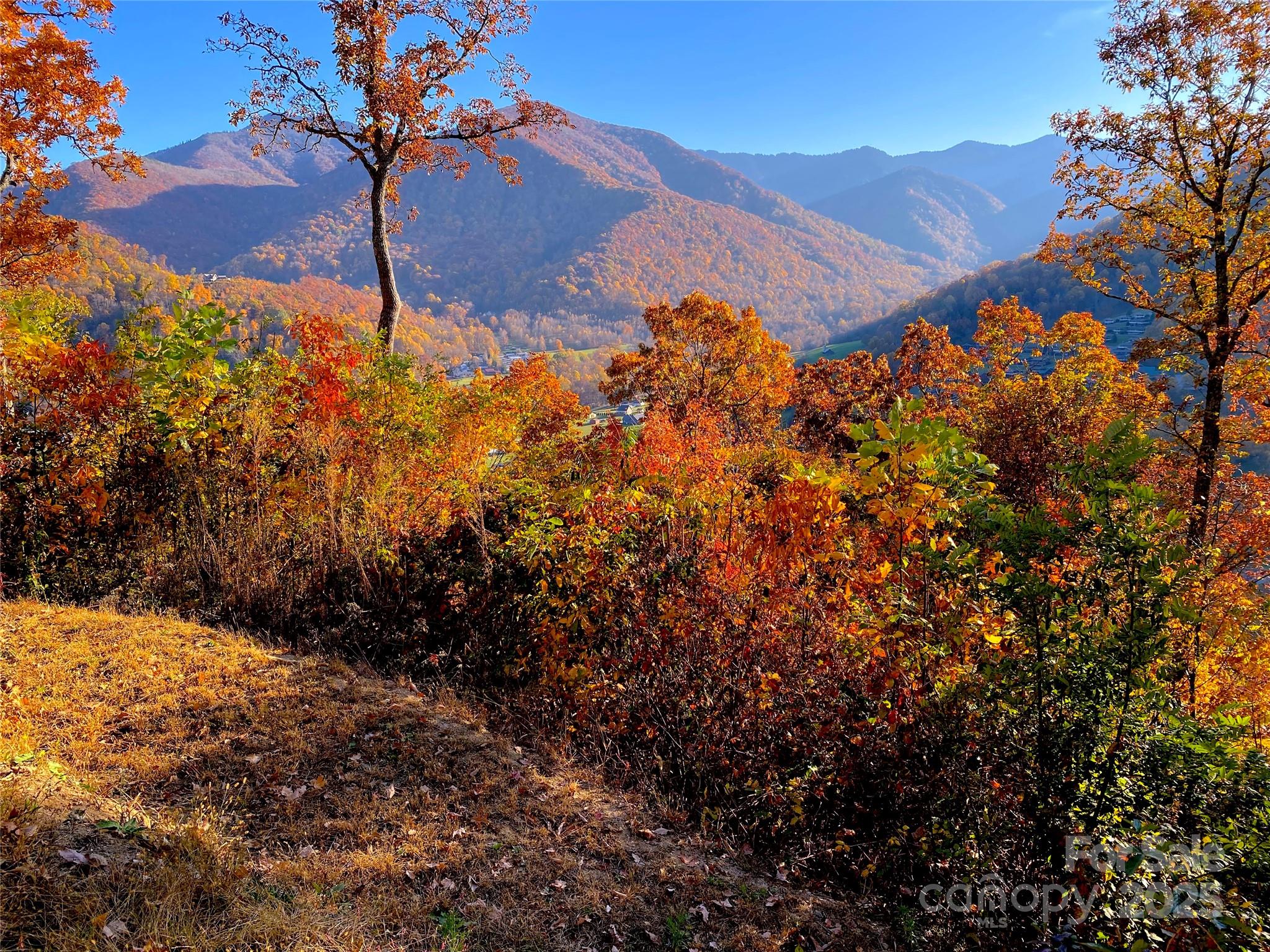 Black Bear Ridge - Land