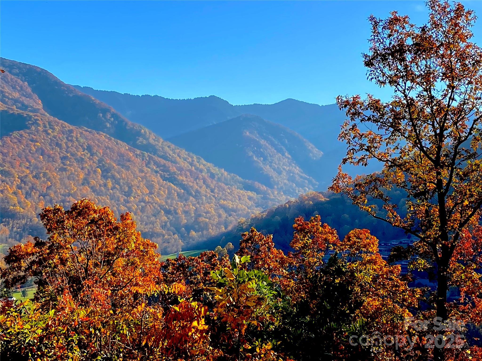 Black Bear Ridge - Land