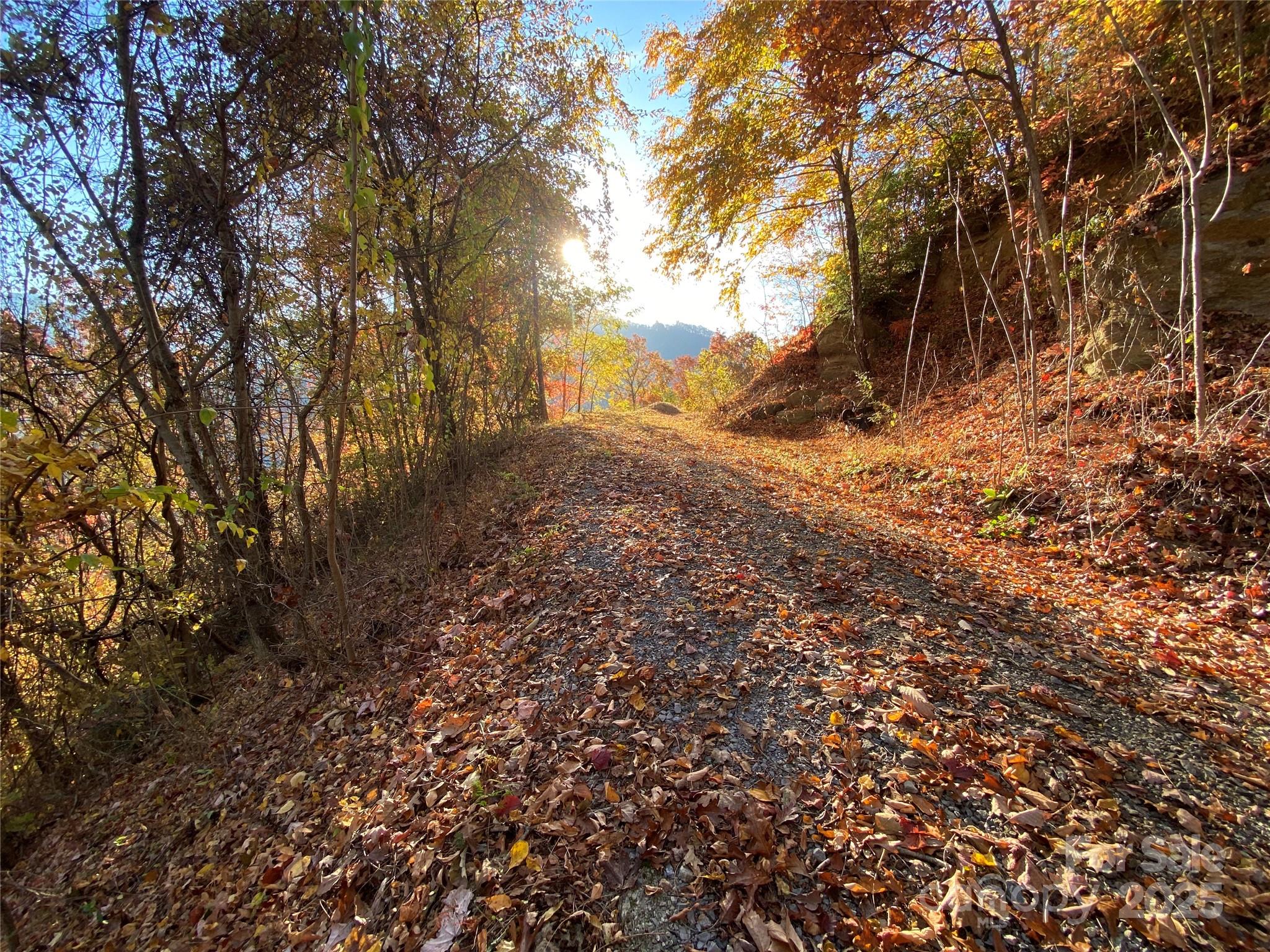 Black Bear Ridge - Land