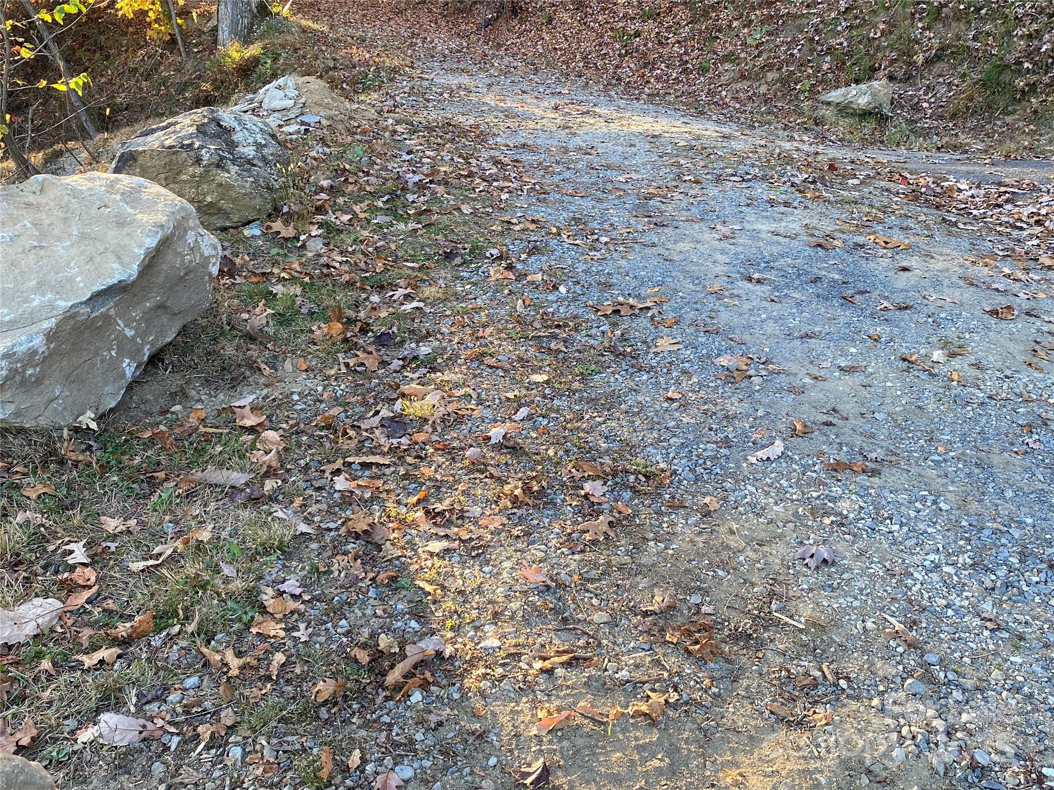 Black Bear Ridge - Land