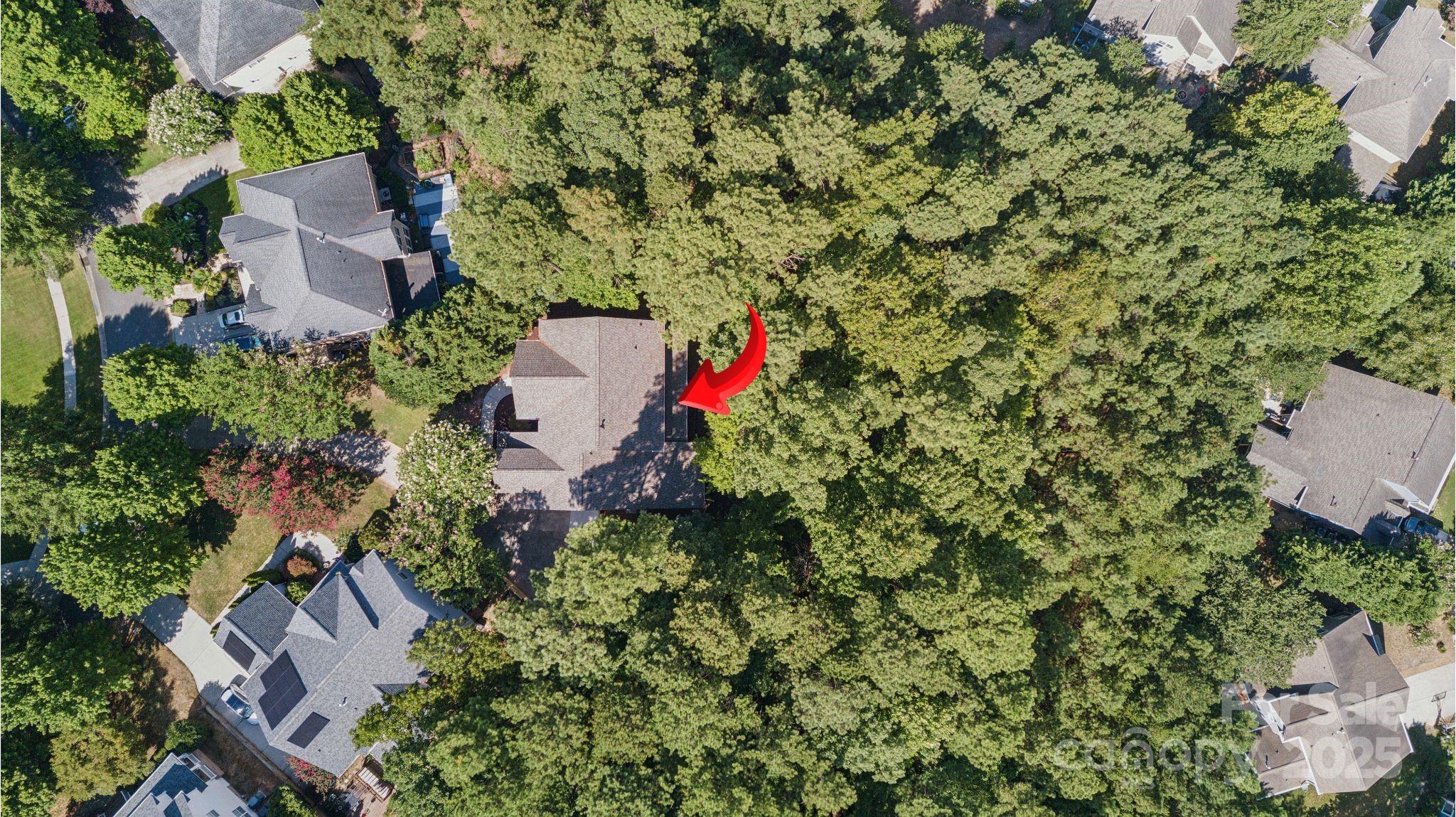 Chestnut Hill - Residential