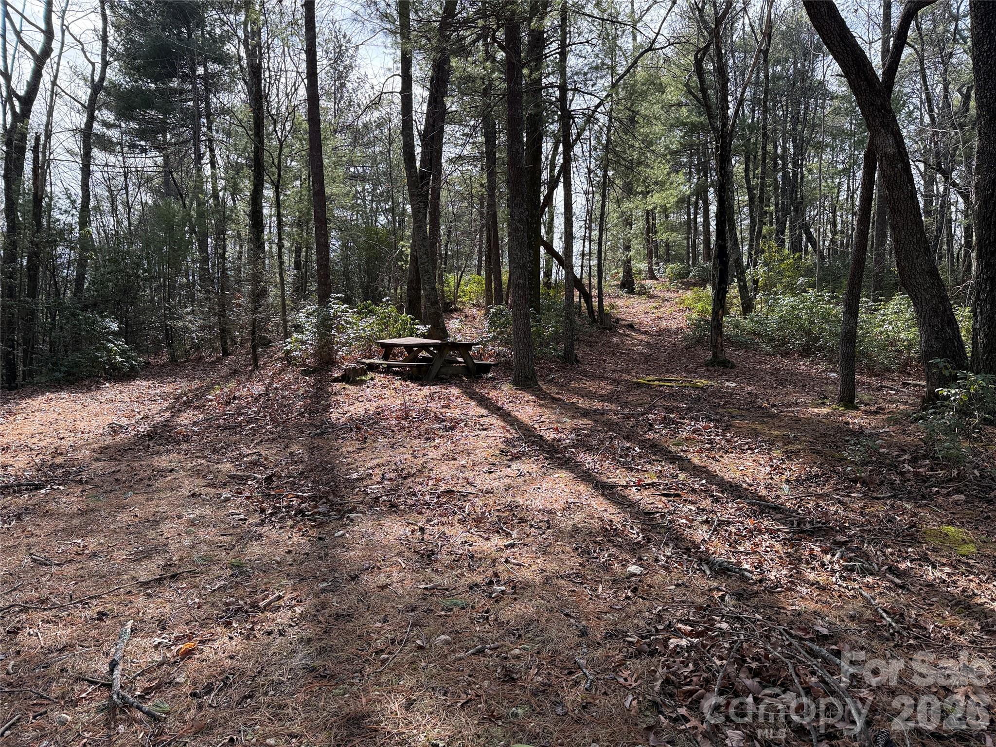 Buck Mountain - Land