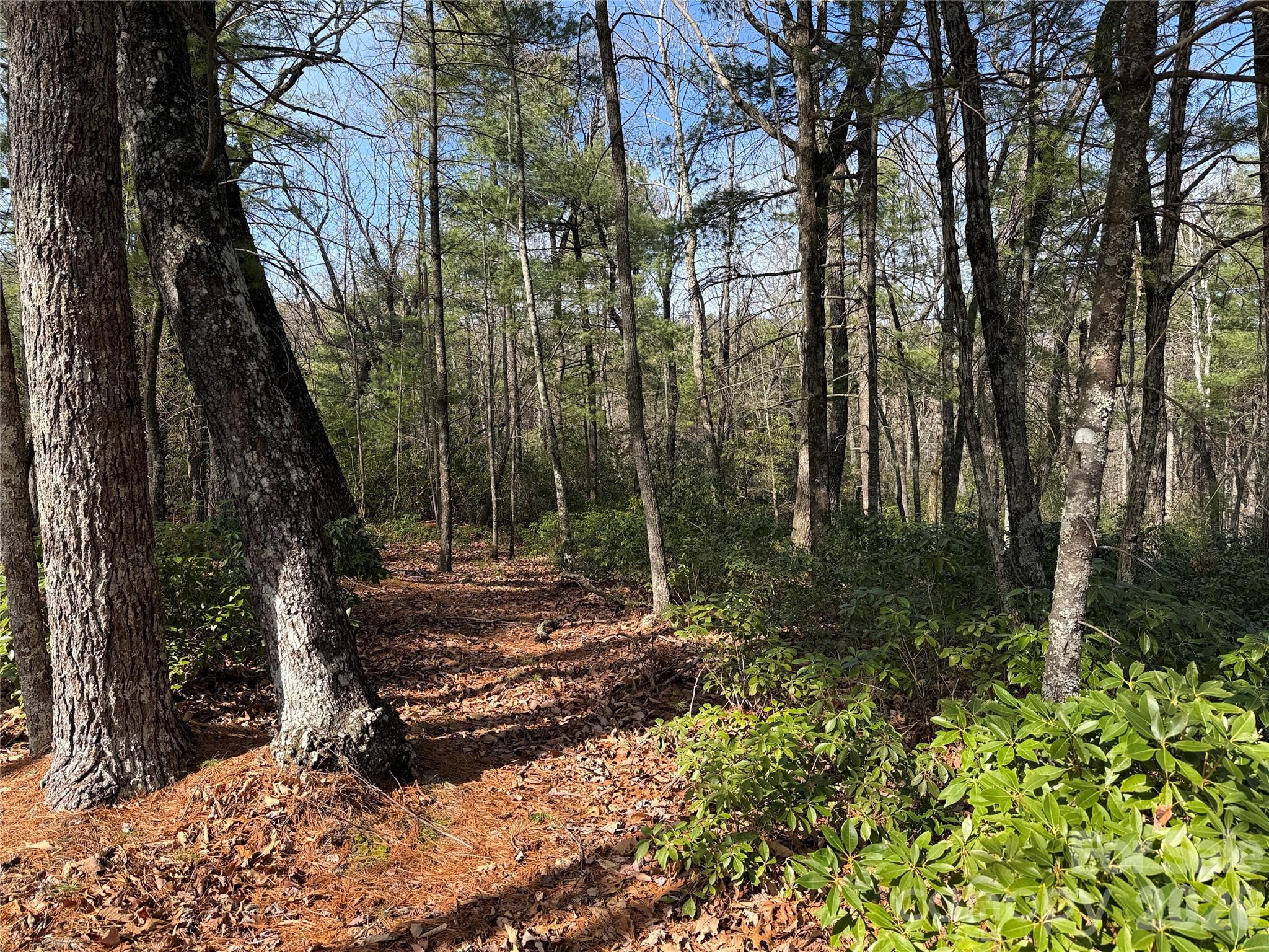 Buck Mountain - Land