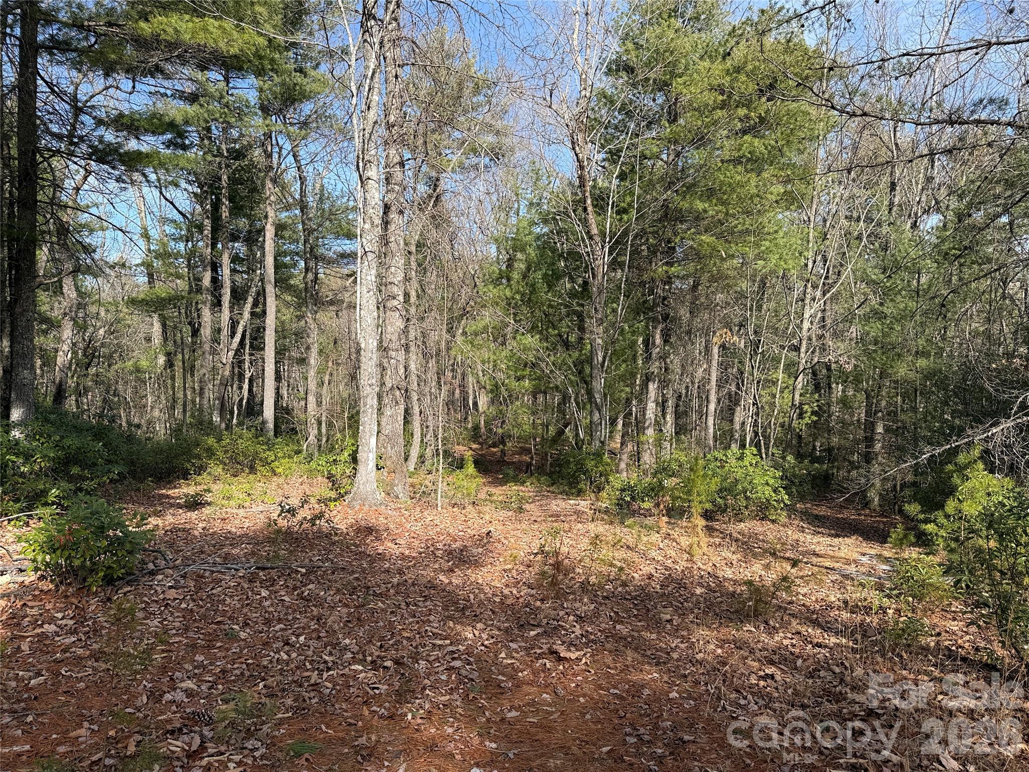 Buck Mountain - Land