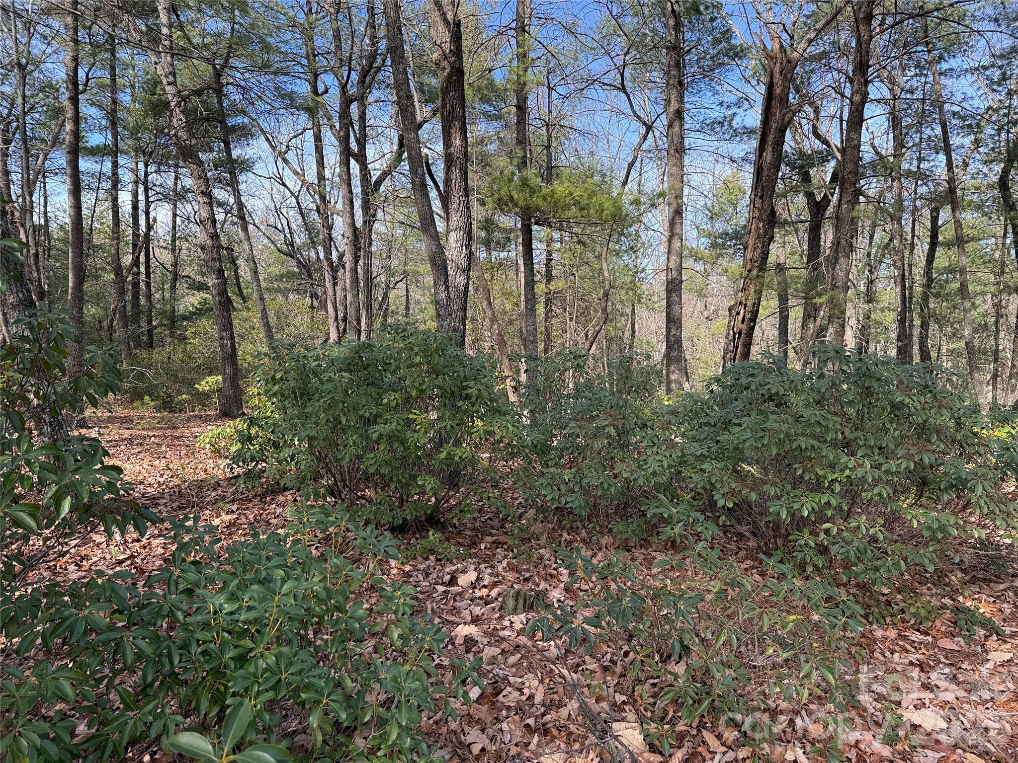 Buck Mountain - Land