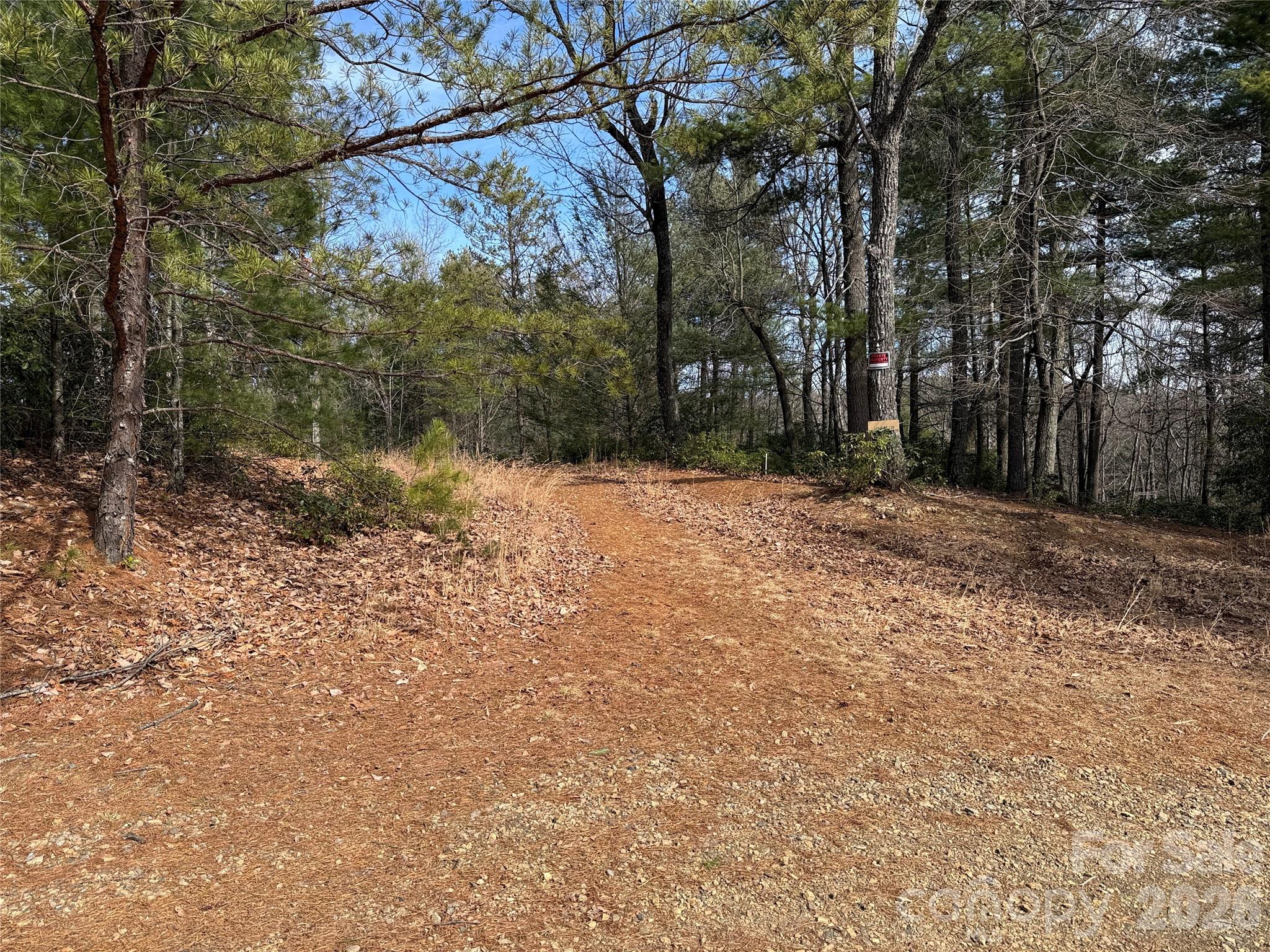 Buck Mountain - Land