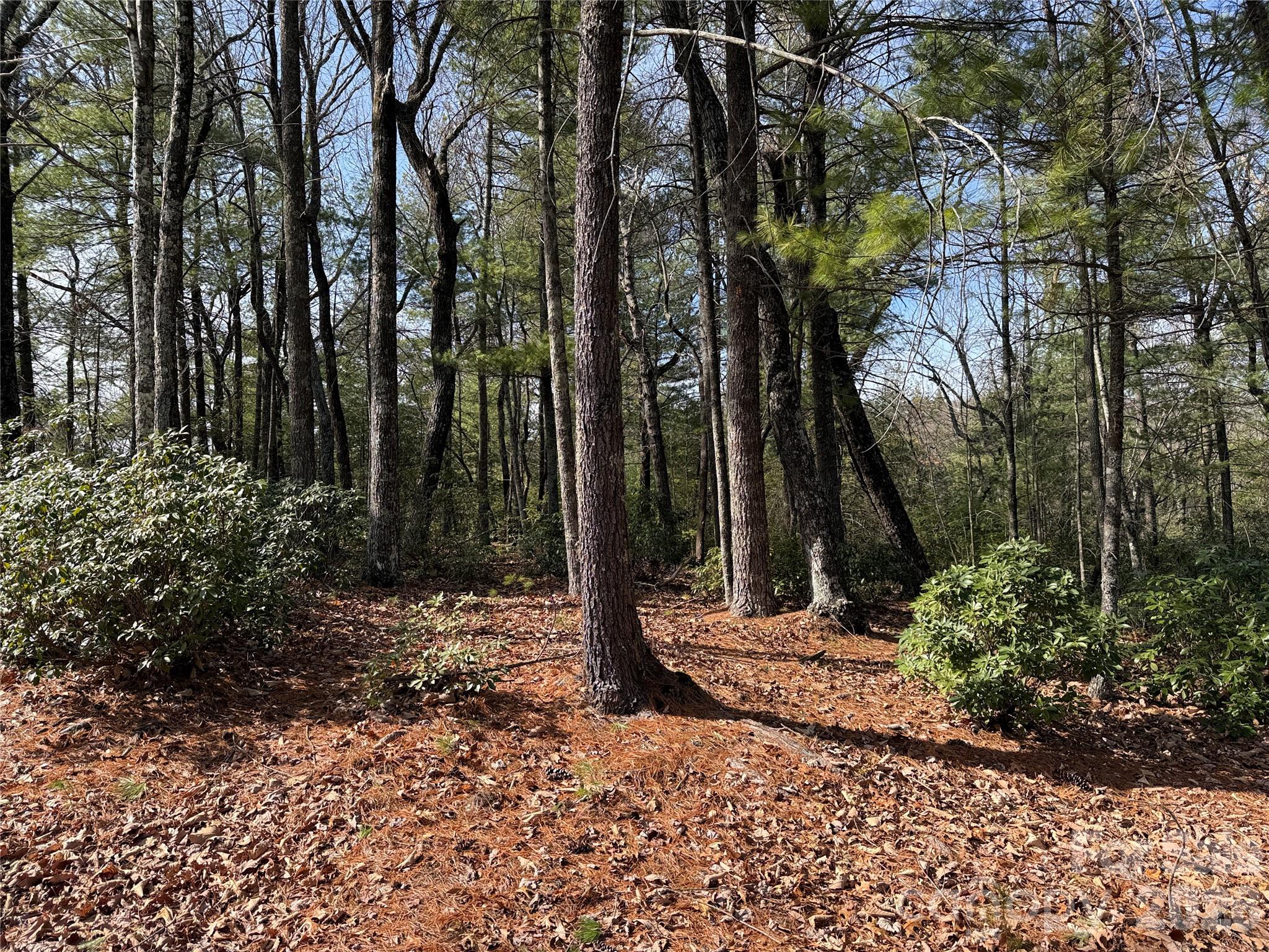 Buck Mountain - Land