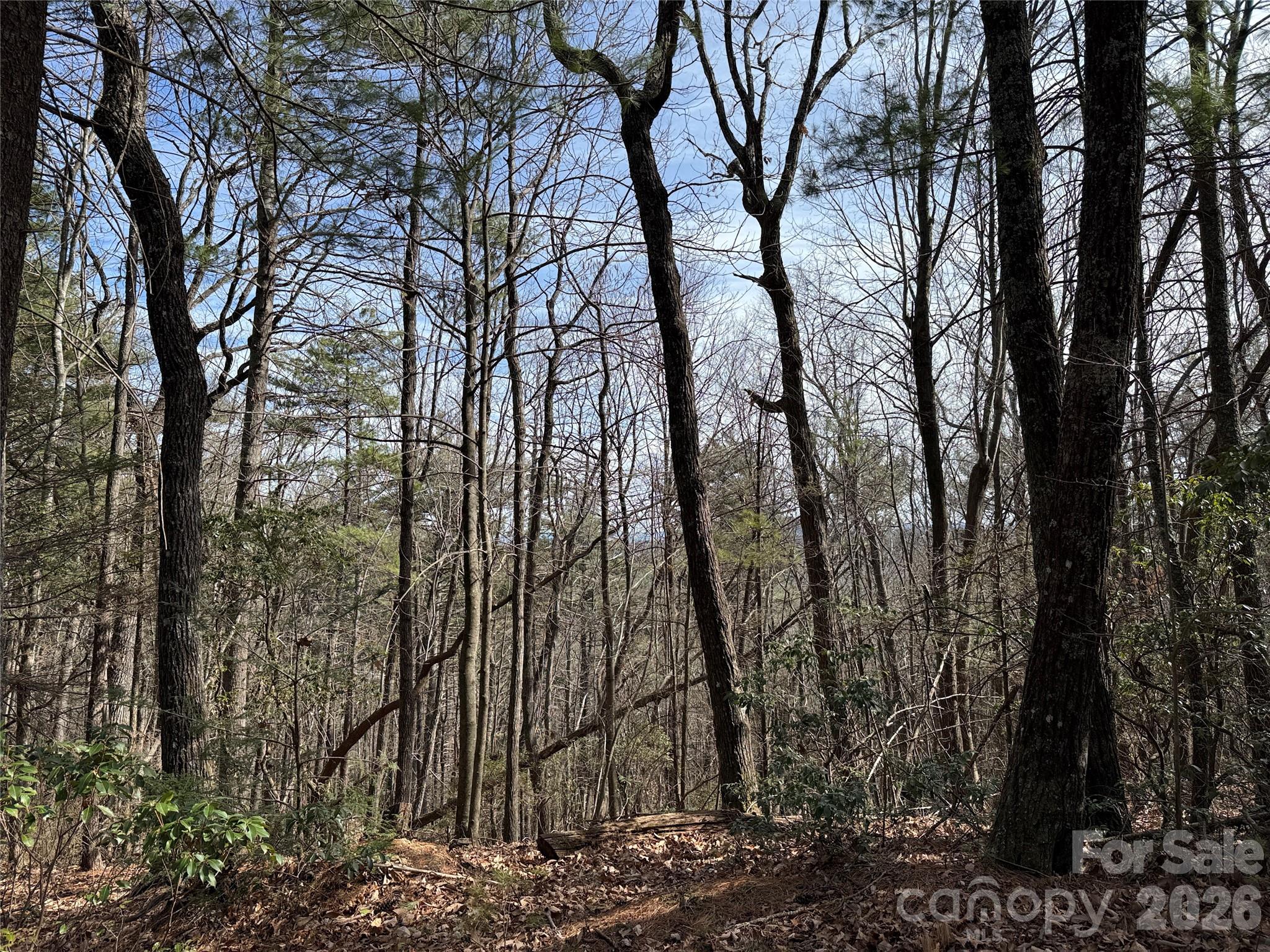 Buck Mountain - Land