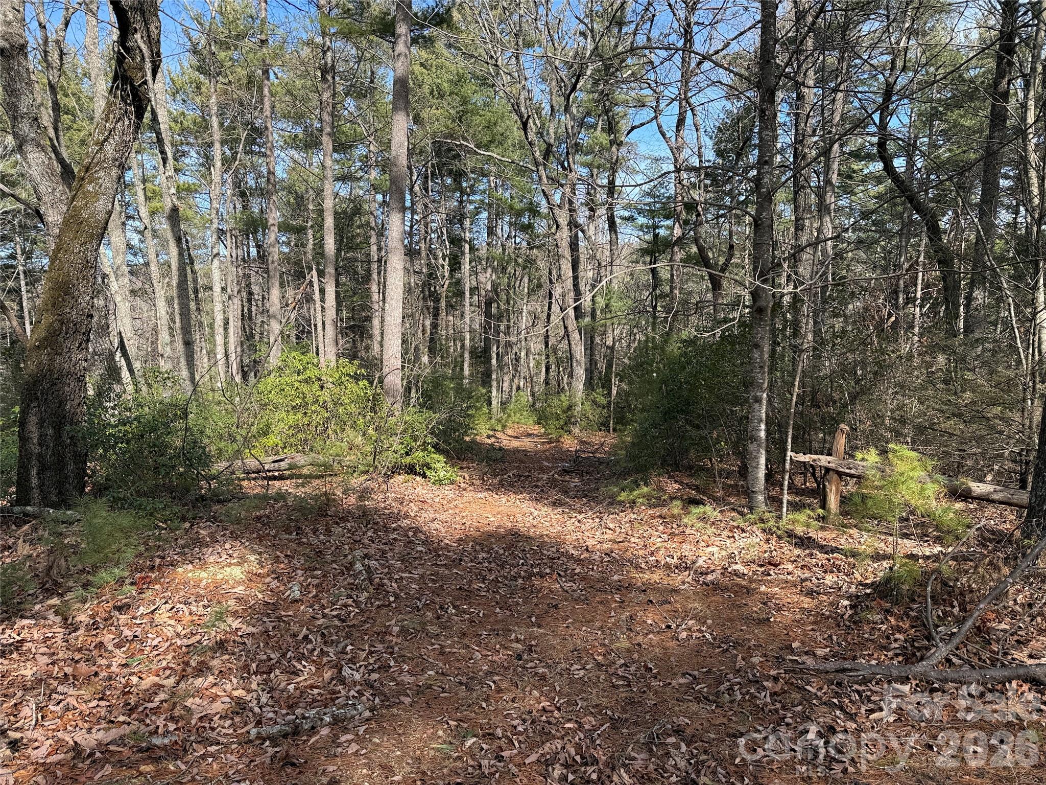 Buck Mountain - Land