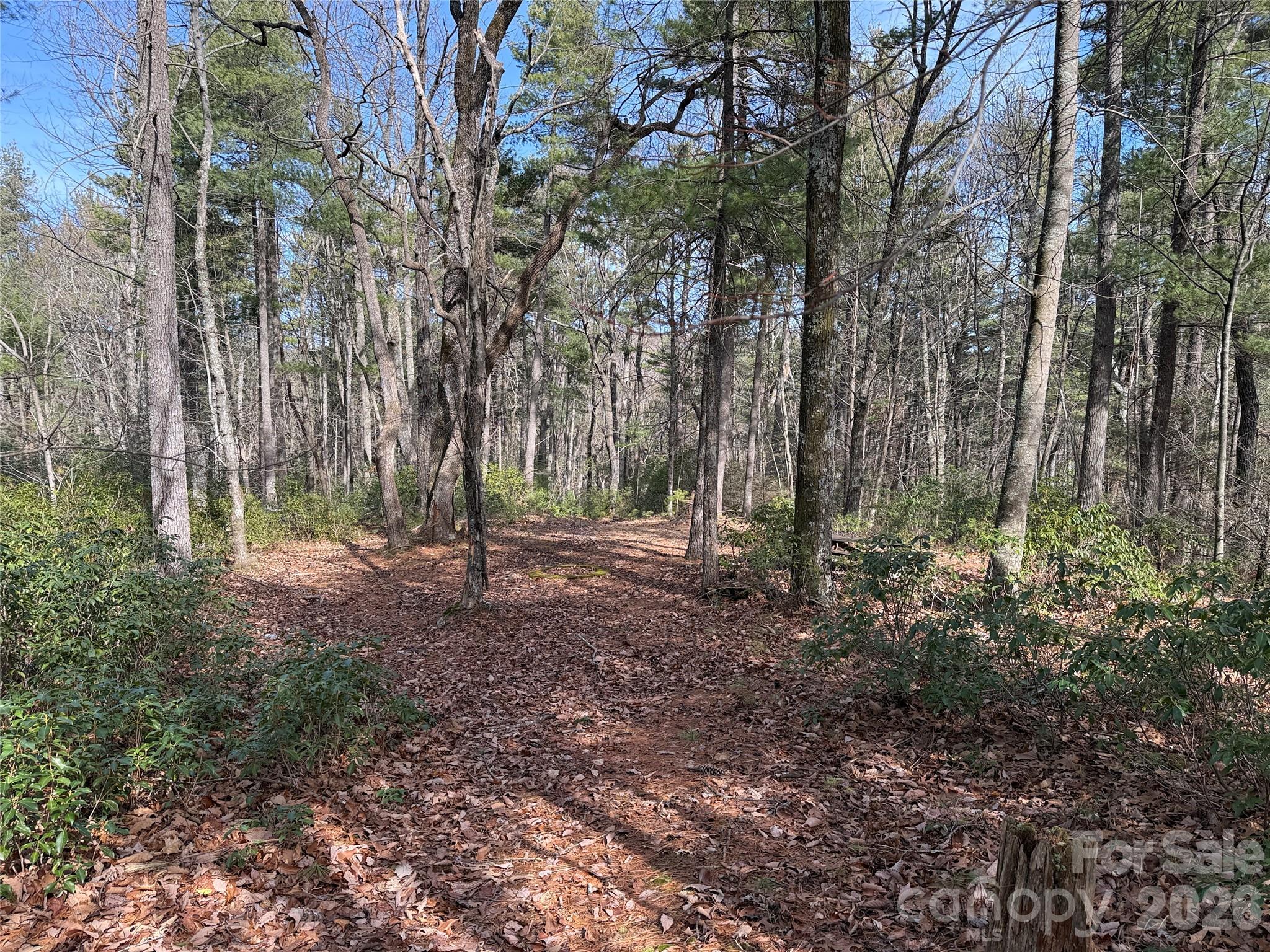 Buck Mountain - Land