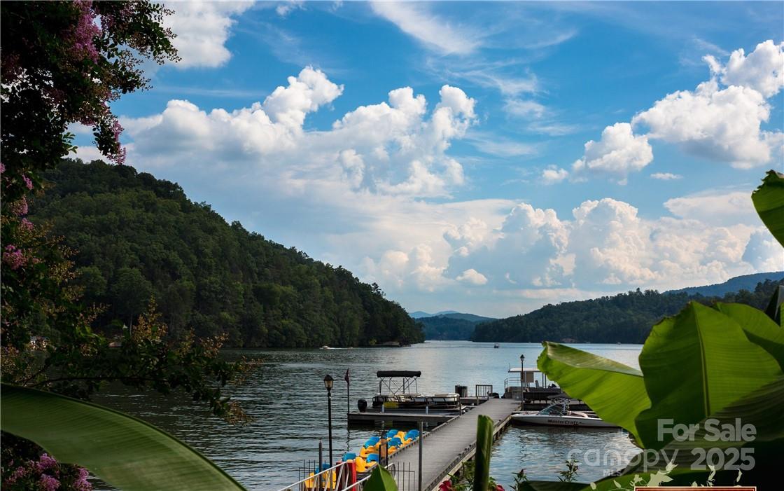 Rumbling Bald on Lake Lure - Land