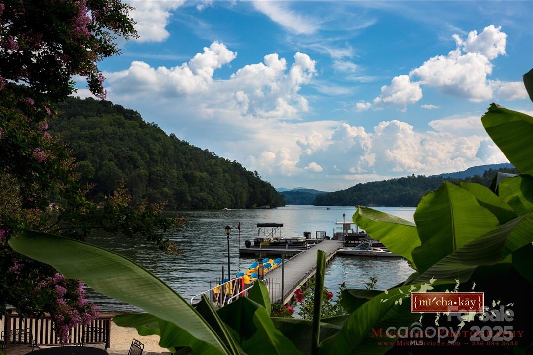 Rumbling Bald on Lake Lure - Land