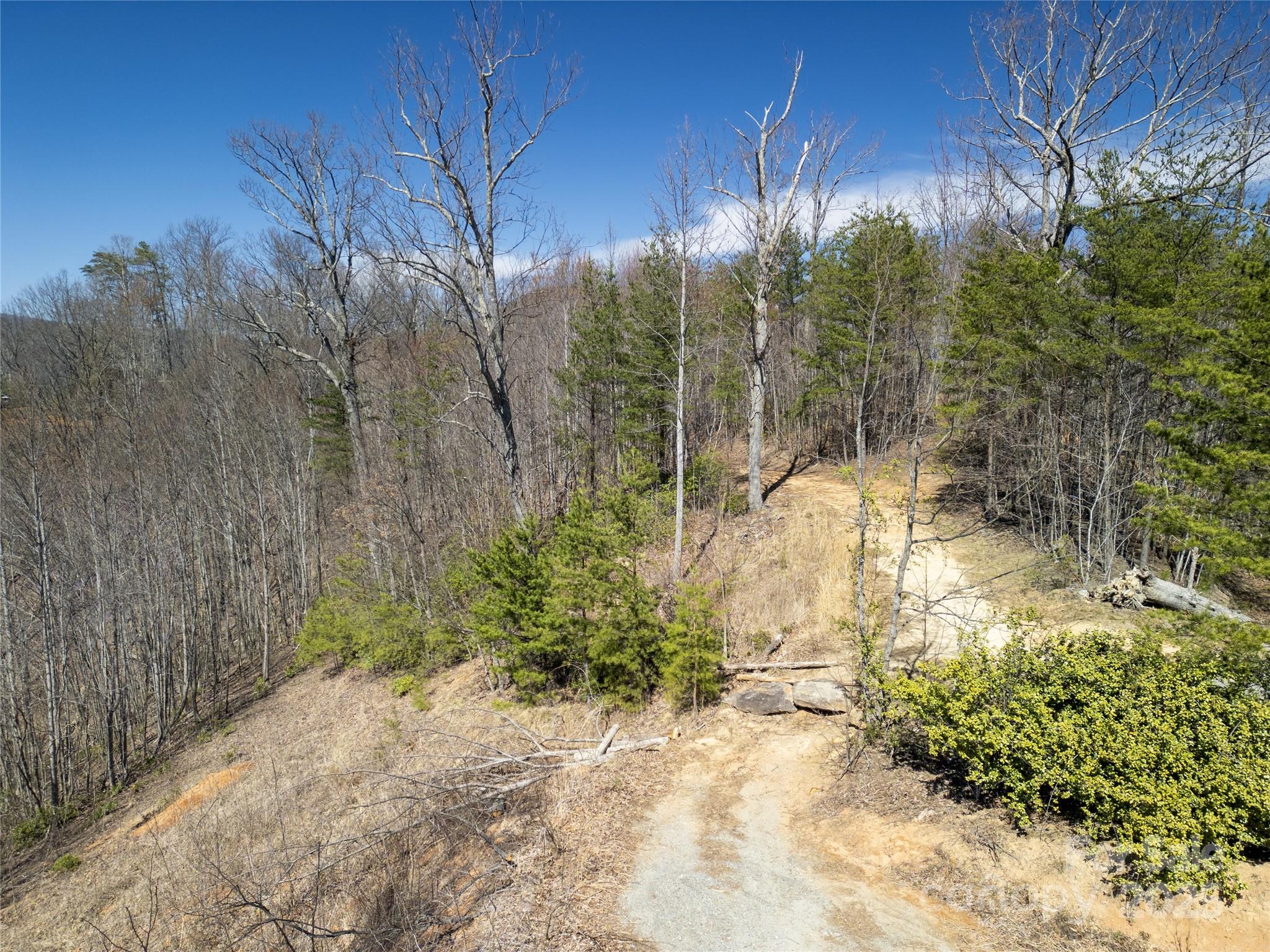 Rumbling Bald on Lake Lure - Land