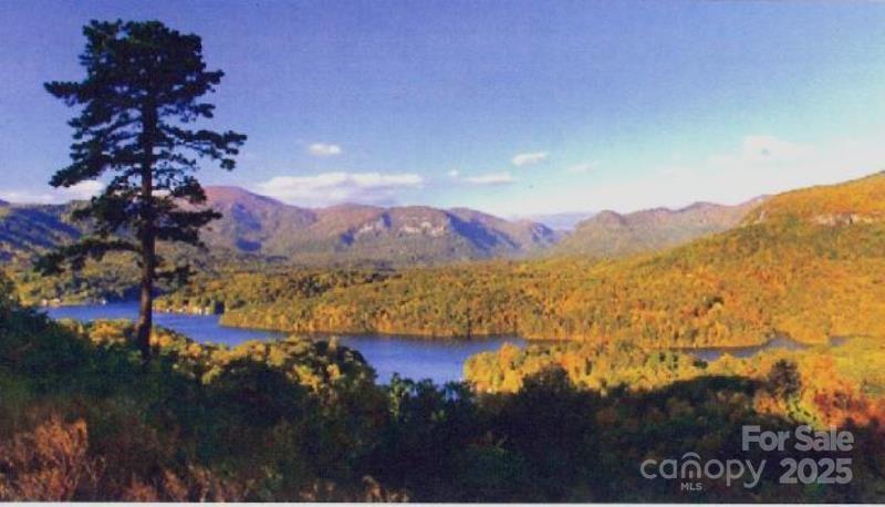 Rumbling Bald on Lake Lure - Land