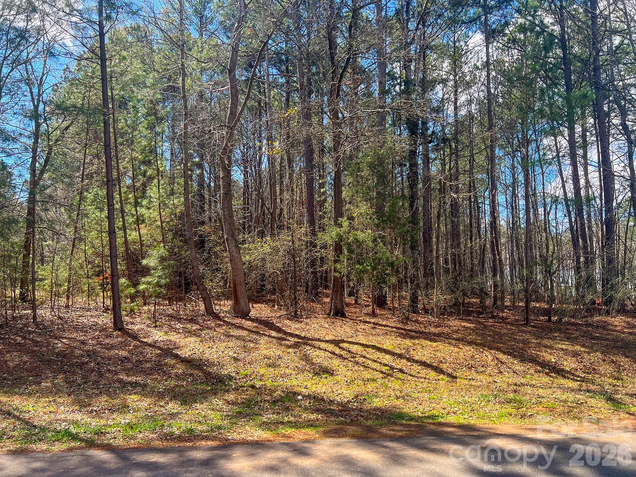 Carolina Coves - Land