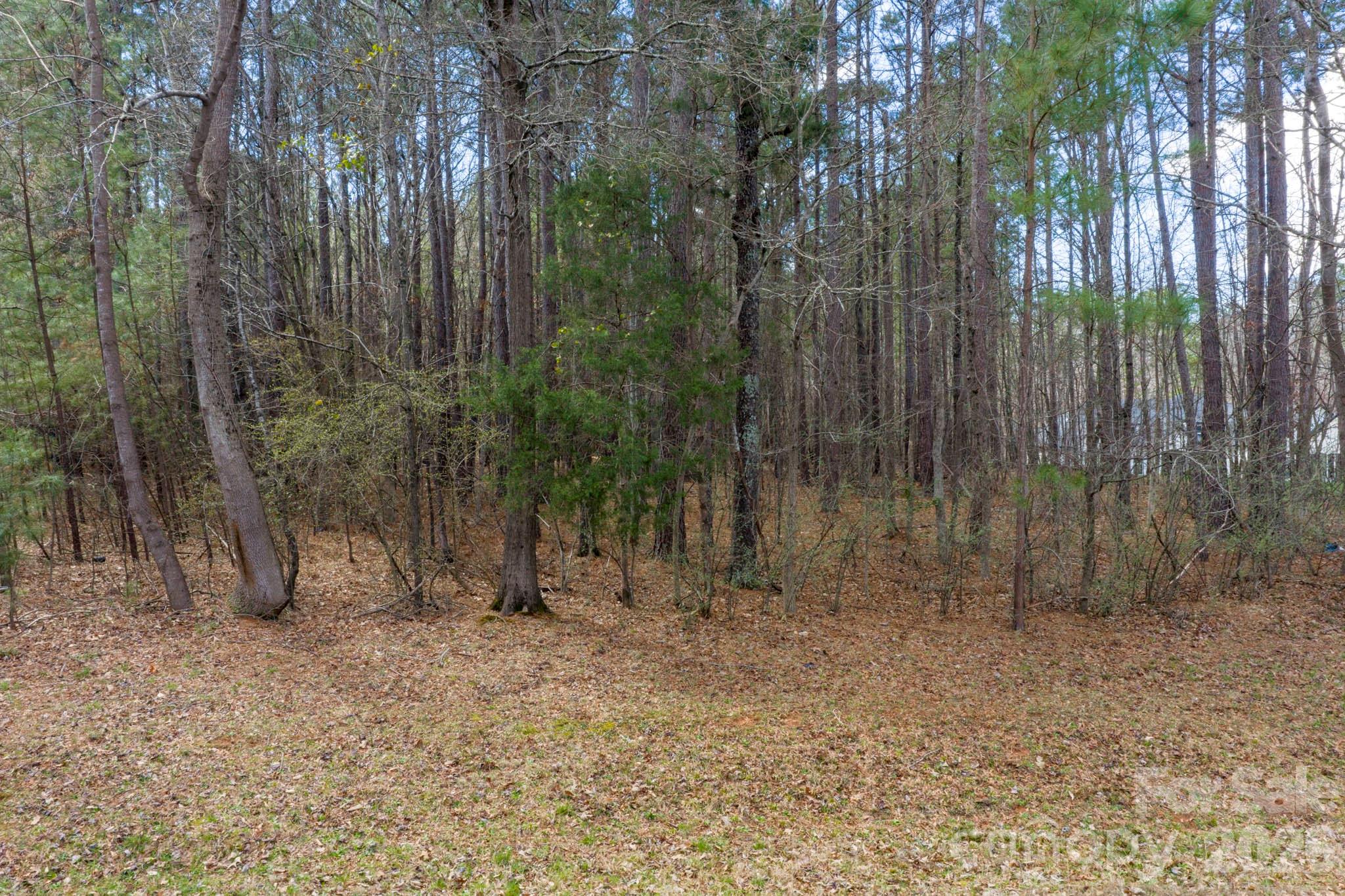 Carolina Coves - Land