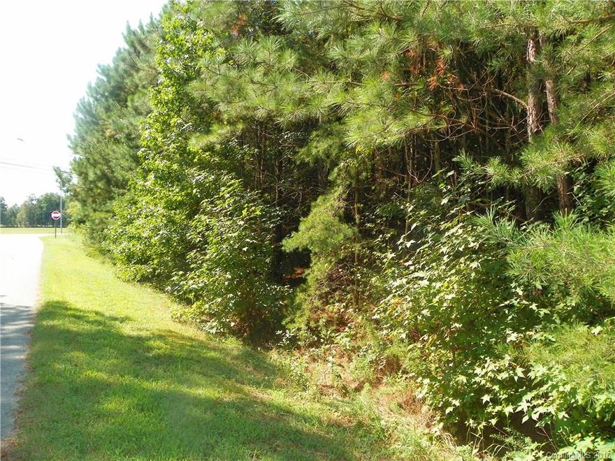 This property is a great opportunity!  Perfect place for a new development, or sites for future homes.  This parcel is sizable at 9.34 acres, and is located right across the street from an elementary school.  This location offers the best of both worlds with a country setting, with the convenience of the city.  This is a must see!