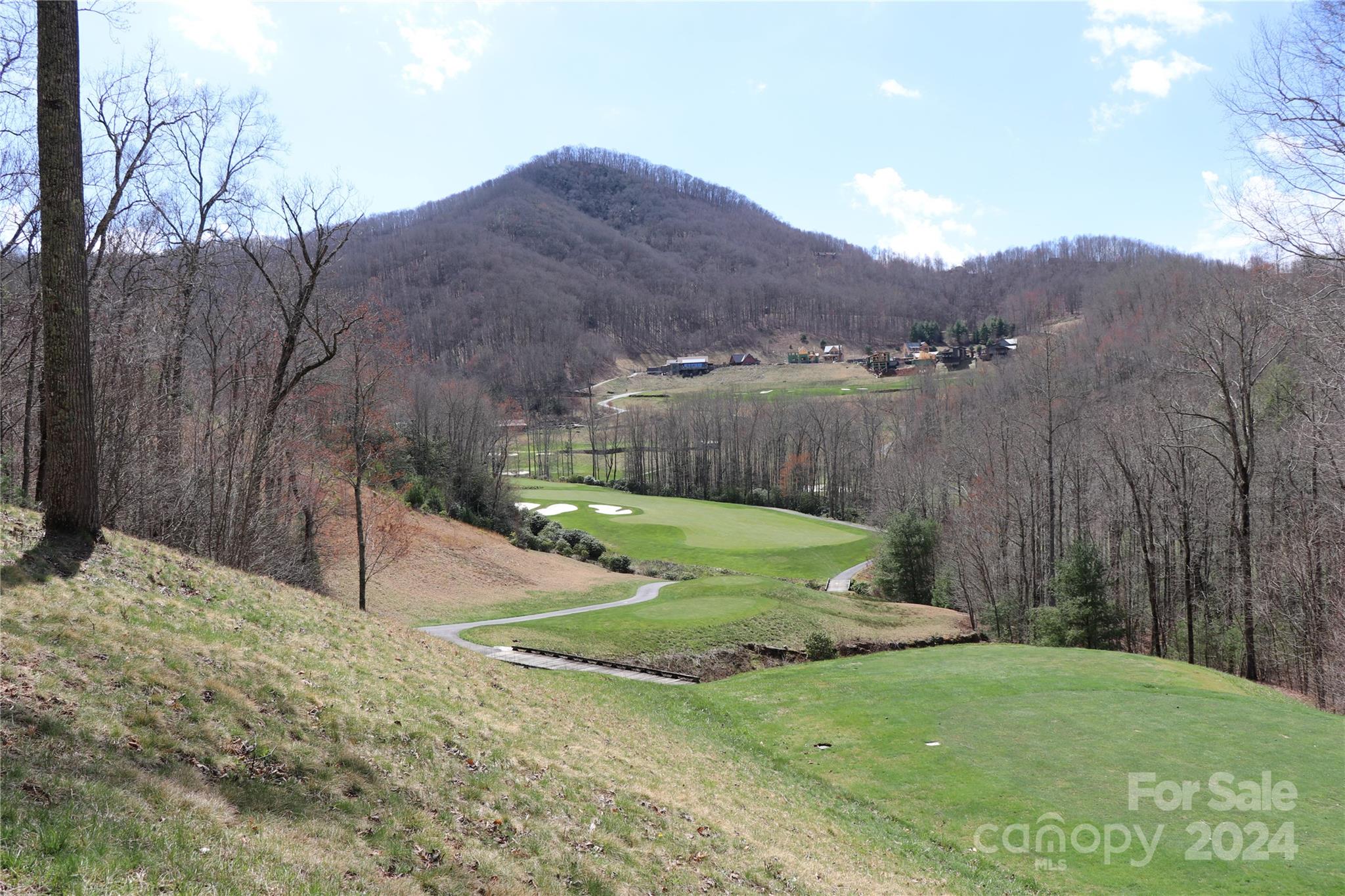 Balsam Mountain Preserve - Land