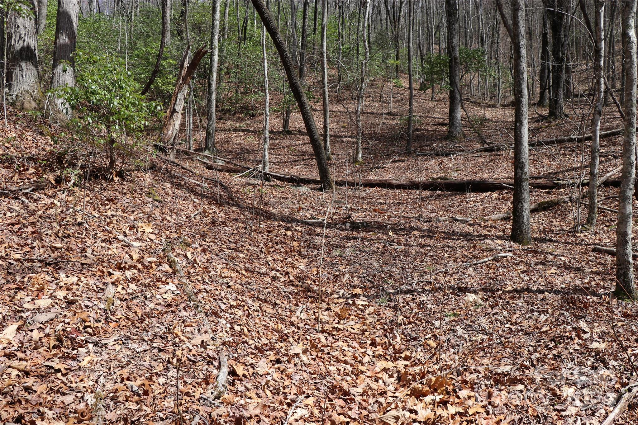 Balsam Mountain Preserve - Land