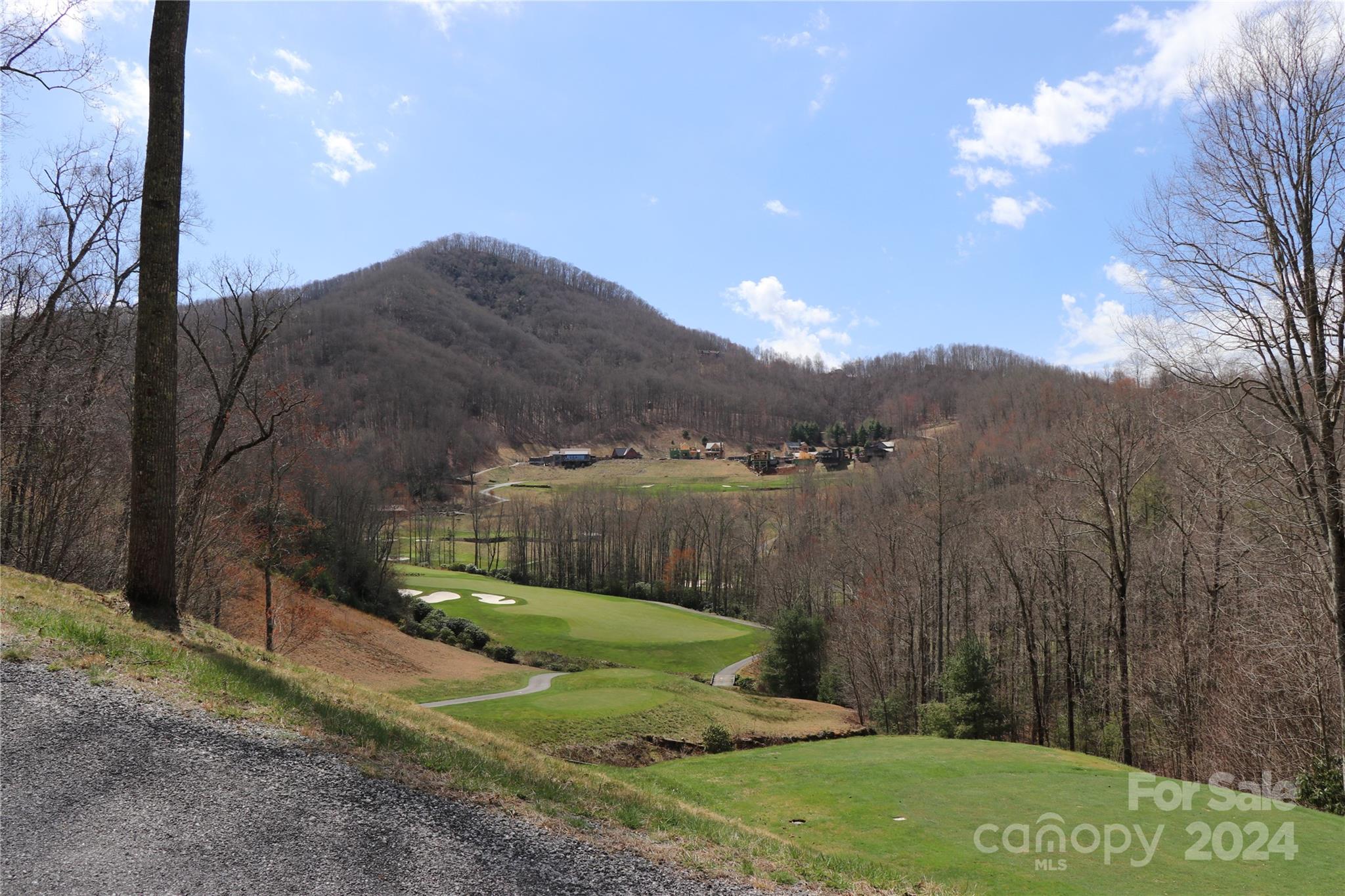 Balsam Mountain Preserve - Land