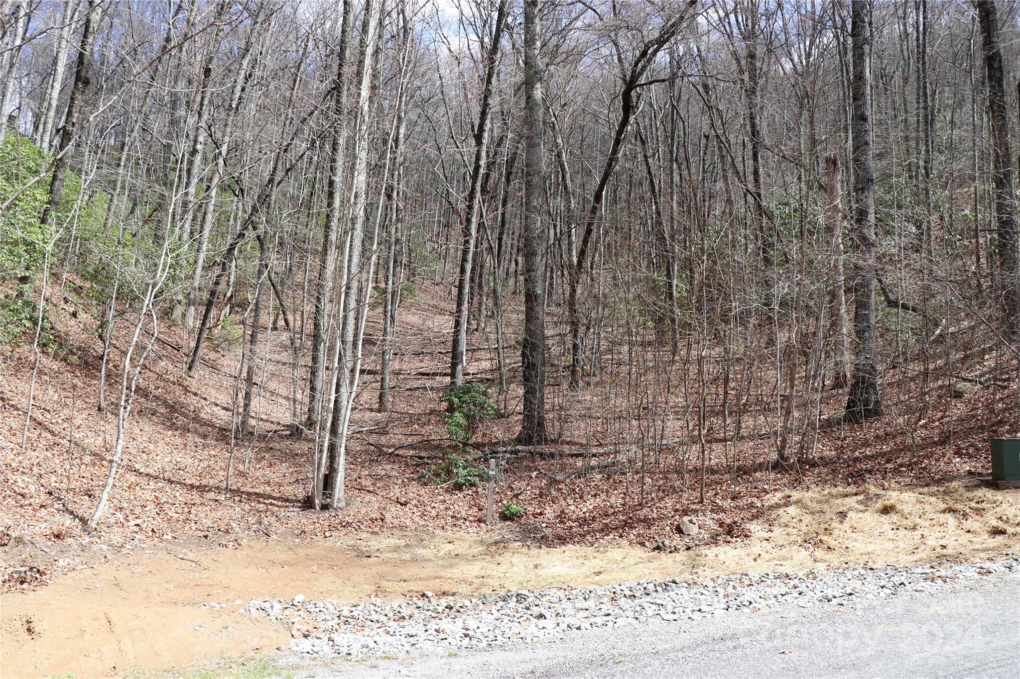 Balsam Mountain Preserve - Land