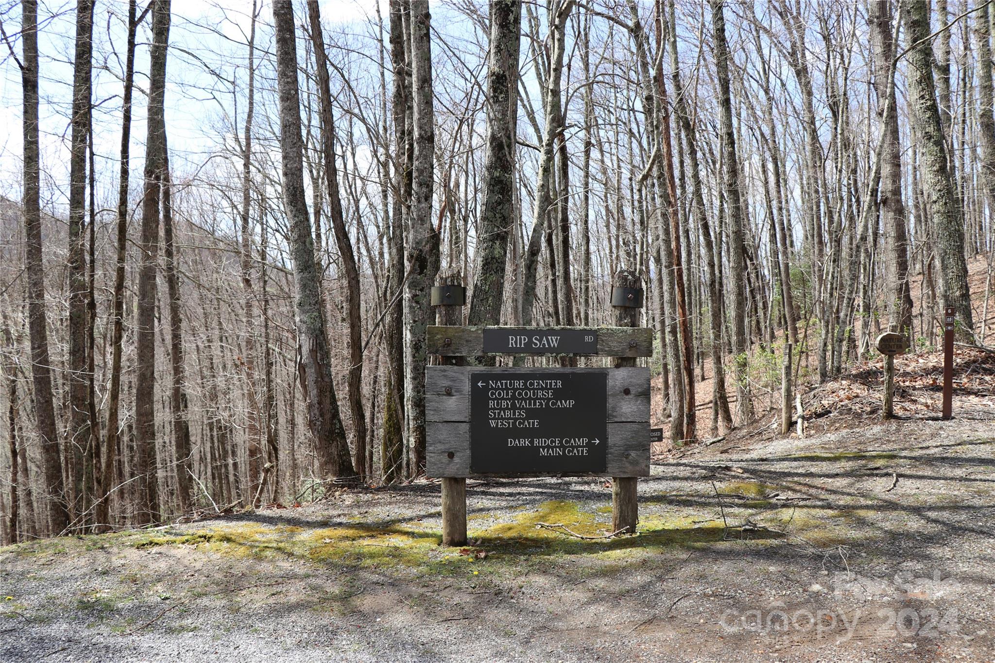 Balsam Mountain Preserve - Land