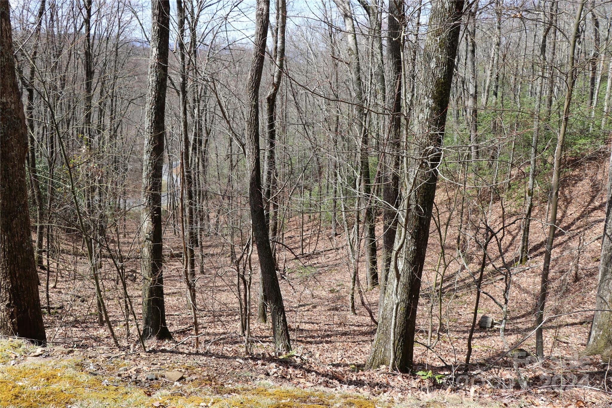 Balsam Mountain Preserve - Land