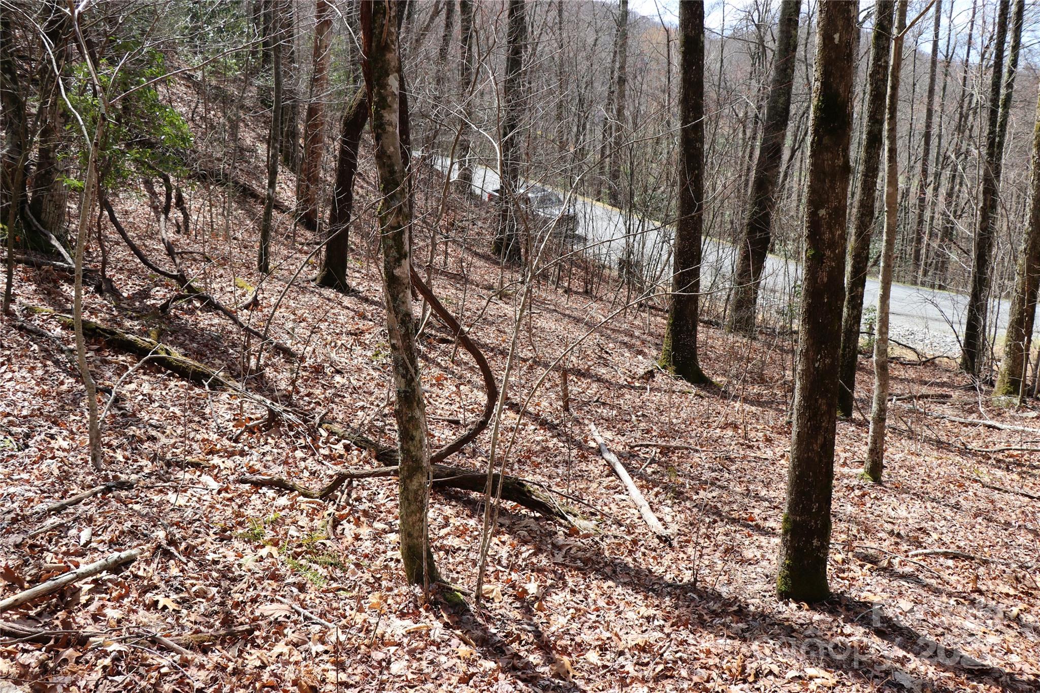 Balsam Mountain Preserve - Land