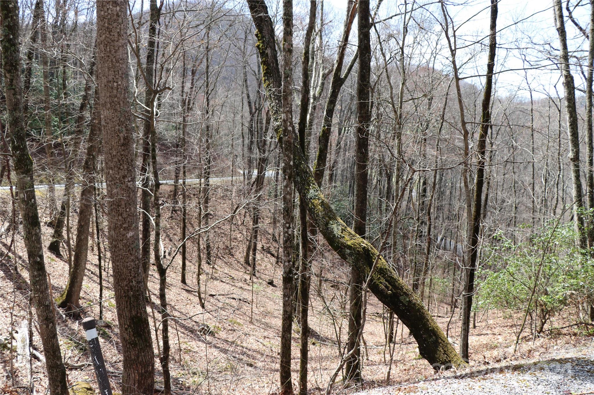 Balsam Mountain Preserve - Land