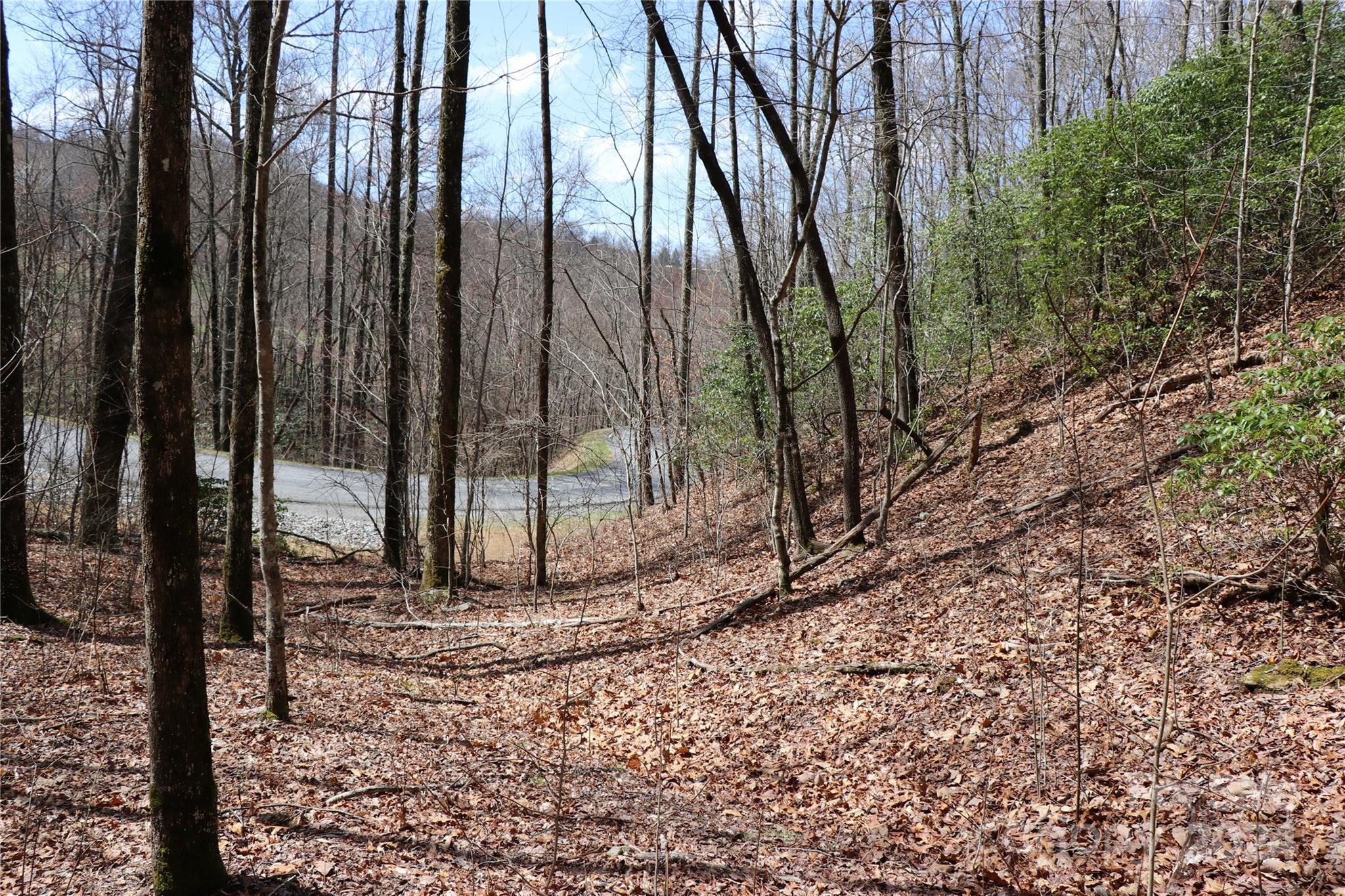 Balsam Mountain Preserve - Land