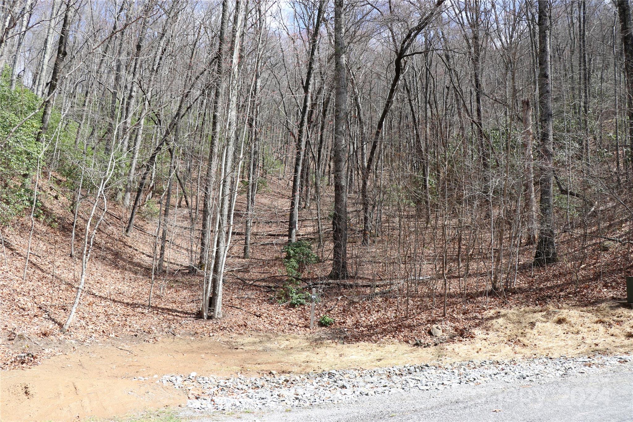 Balsam Mountain Preserve - Land