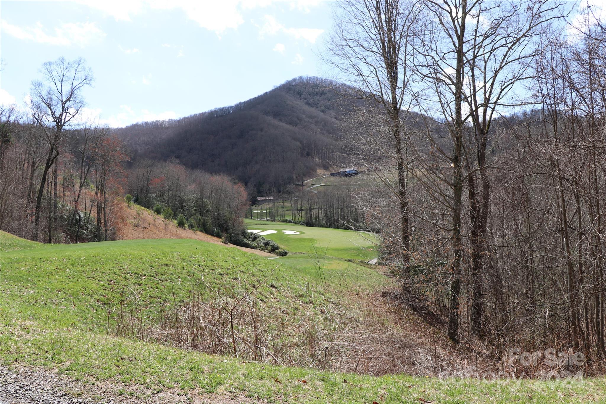 Balsam Mountain Preserve - Land