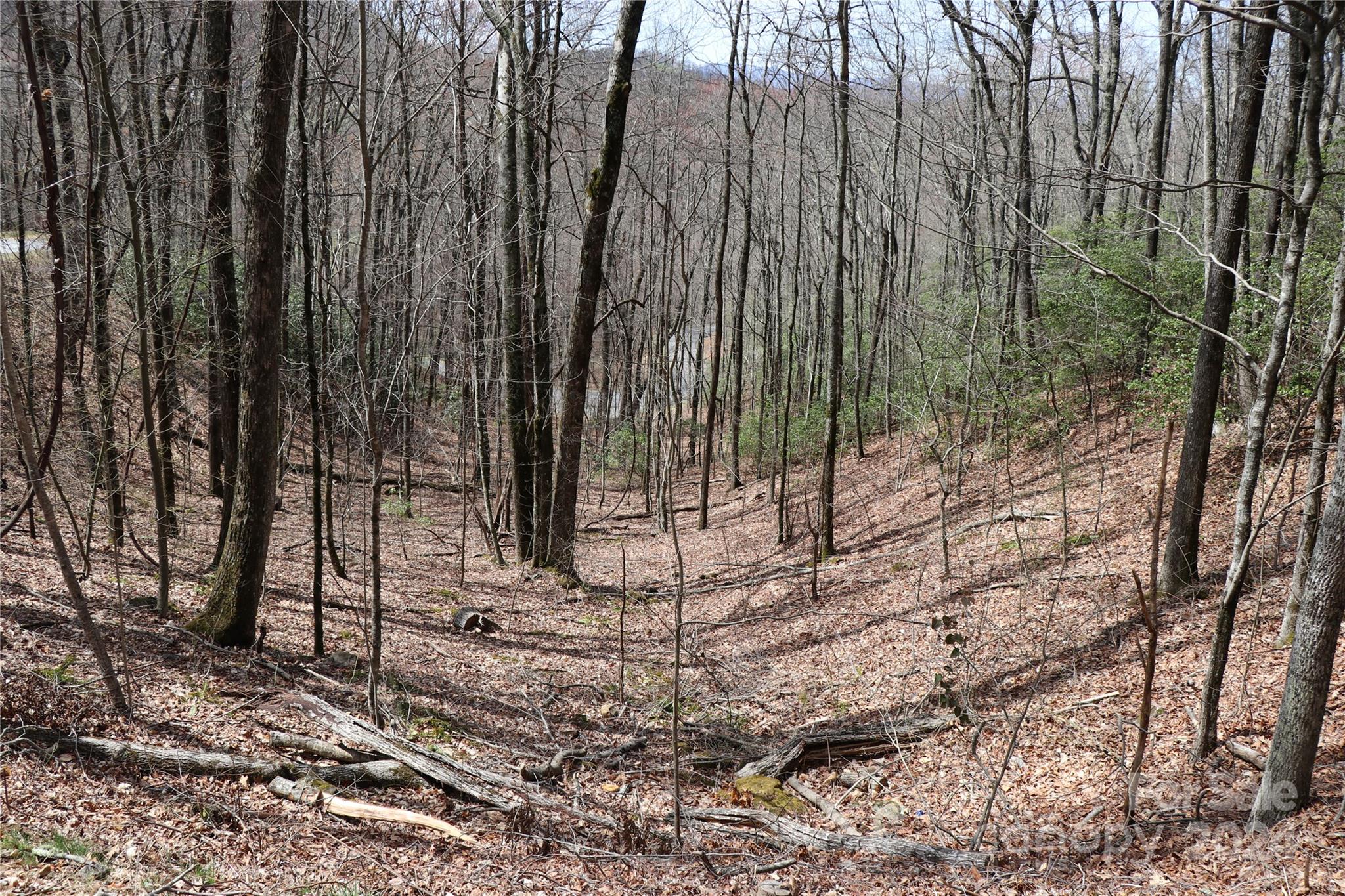 Balsam Mountain Preserve - Land