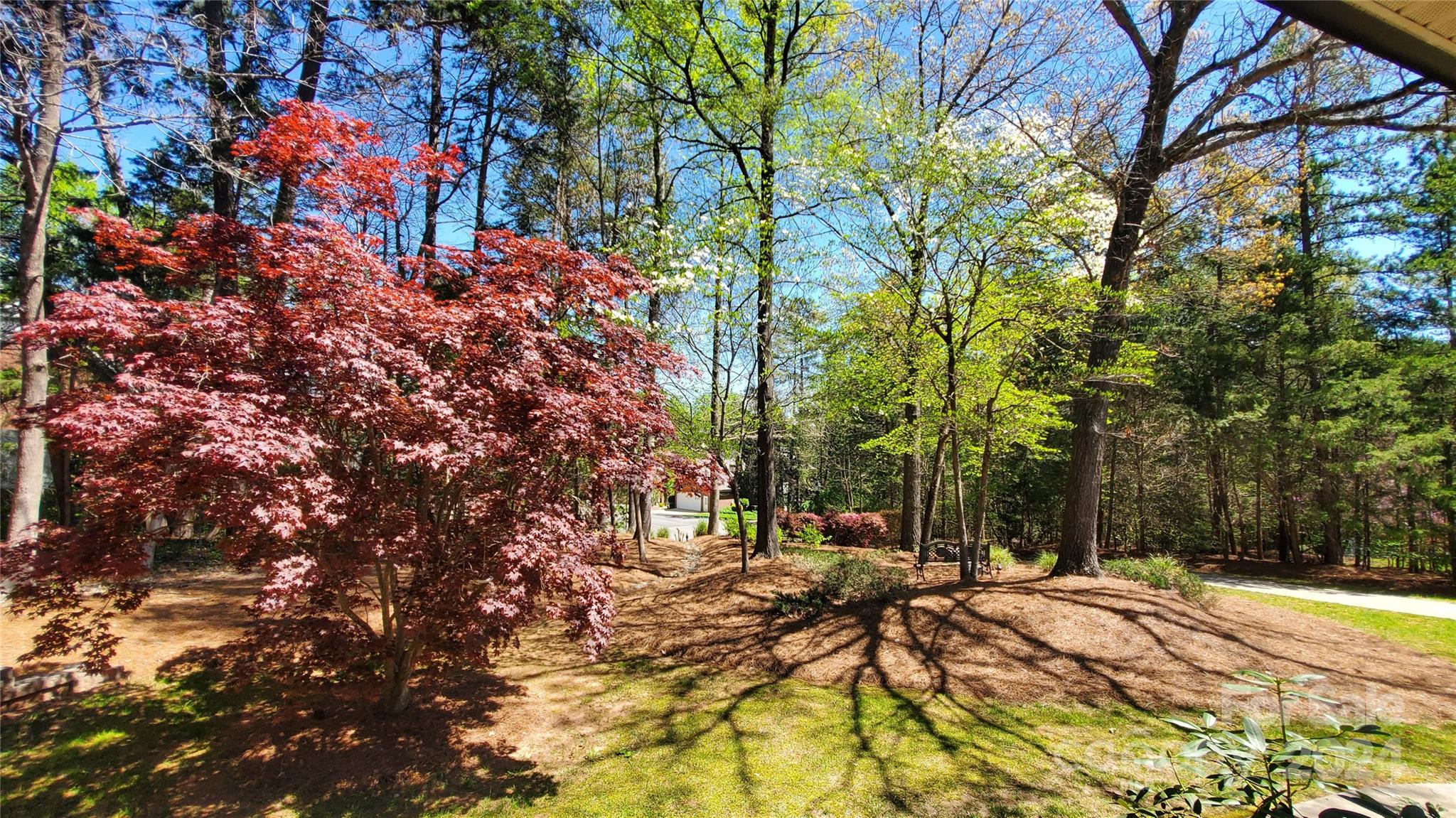 Windy Ridge - Residential