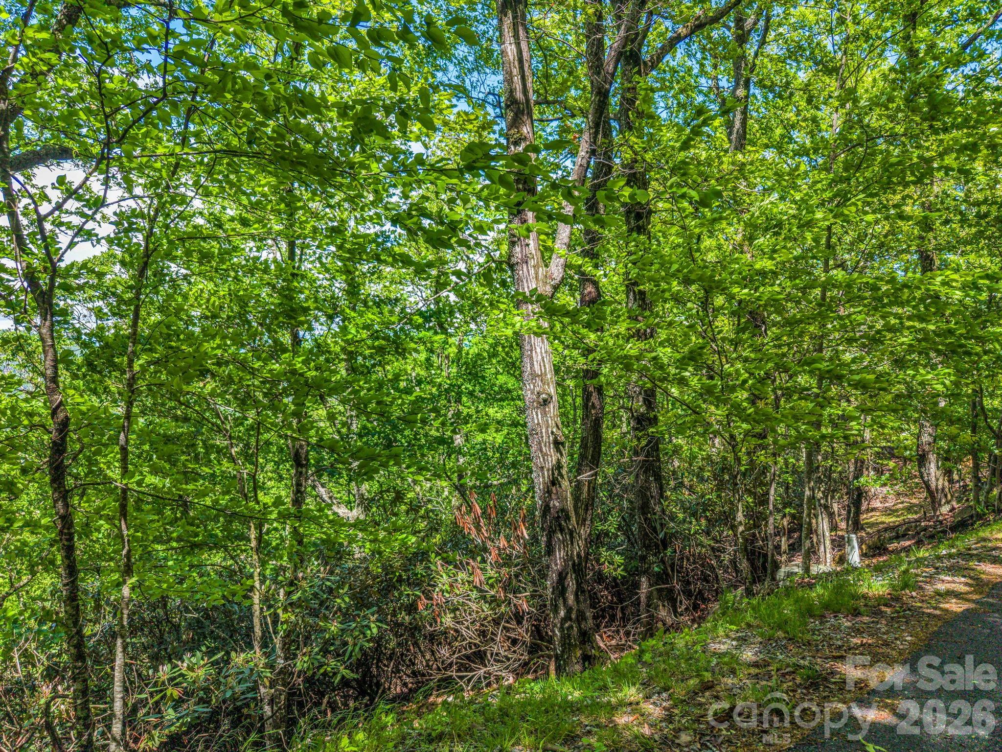99999 Laurel Drive 27, 28, 29