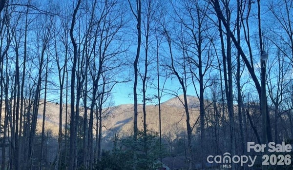 1 HICKORY DR, MAGGIE VALLEY, NC 28751 - Image ba3274a7f5dcdccd2efe074fc3cdb1d2/3321644993