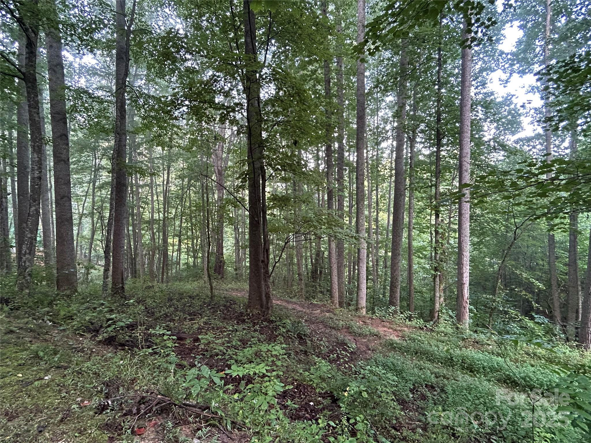 100 S Lindon Cove Road 35, 36