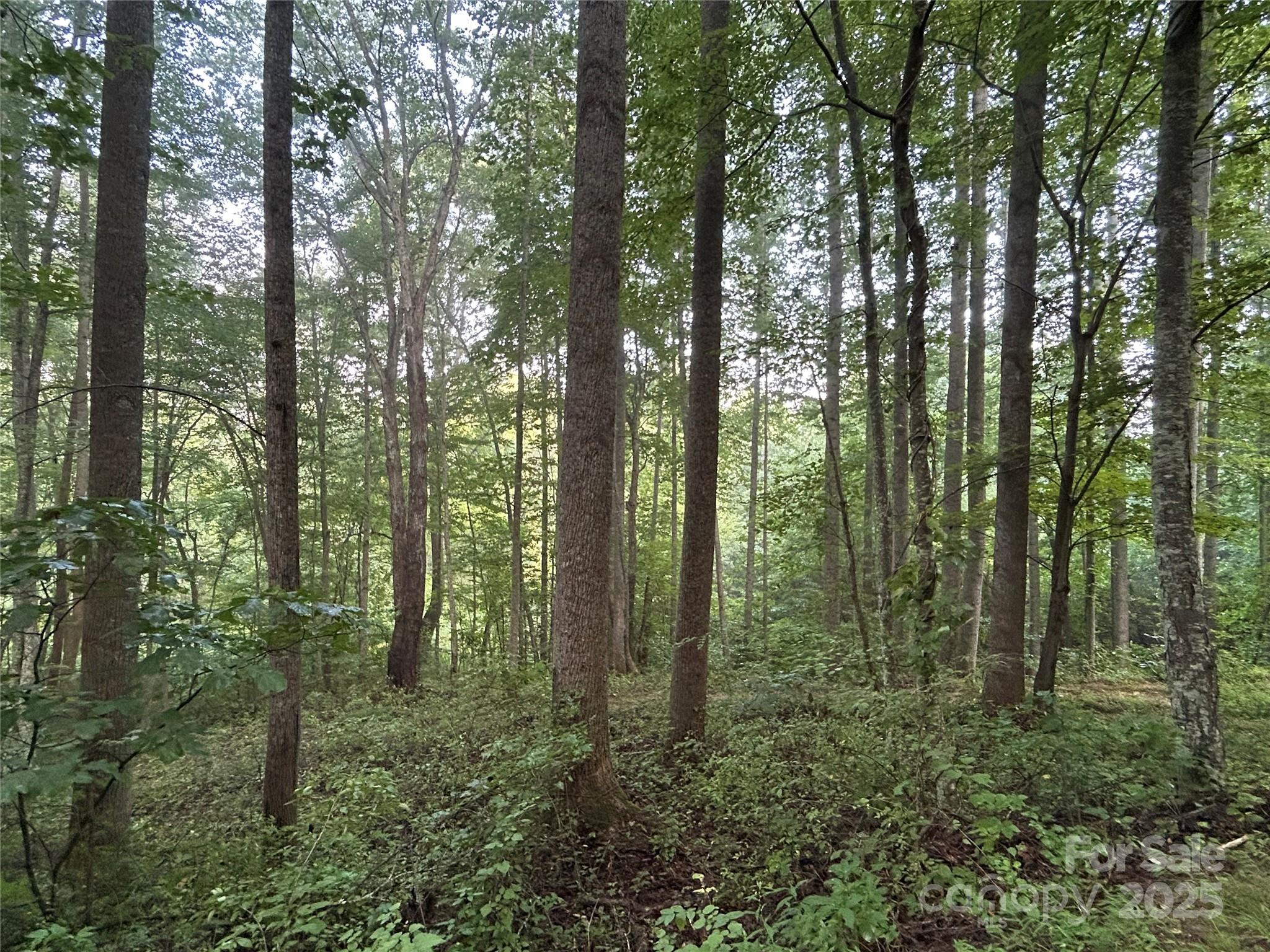 100 S Lindon Cove Road 35, 36