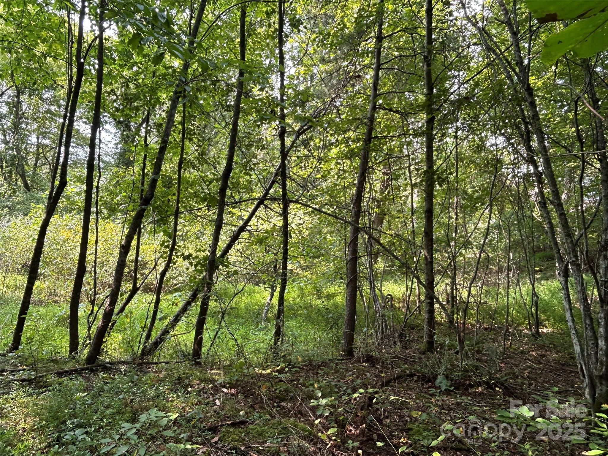 Lindon Cove Crossing - Land