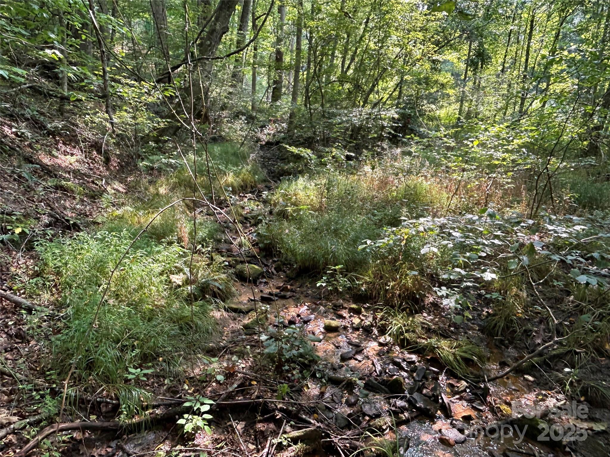 Lindon Cove Crossing - Land