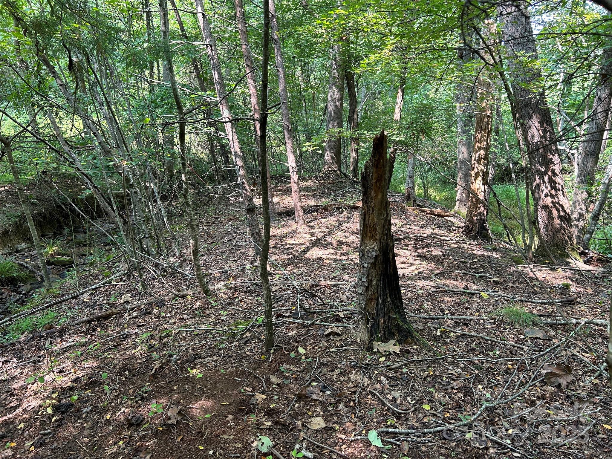 Lindon Cove Crossing - Land