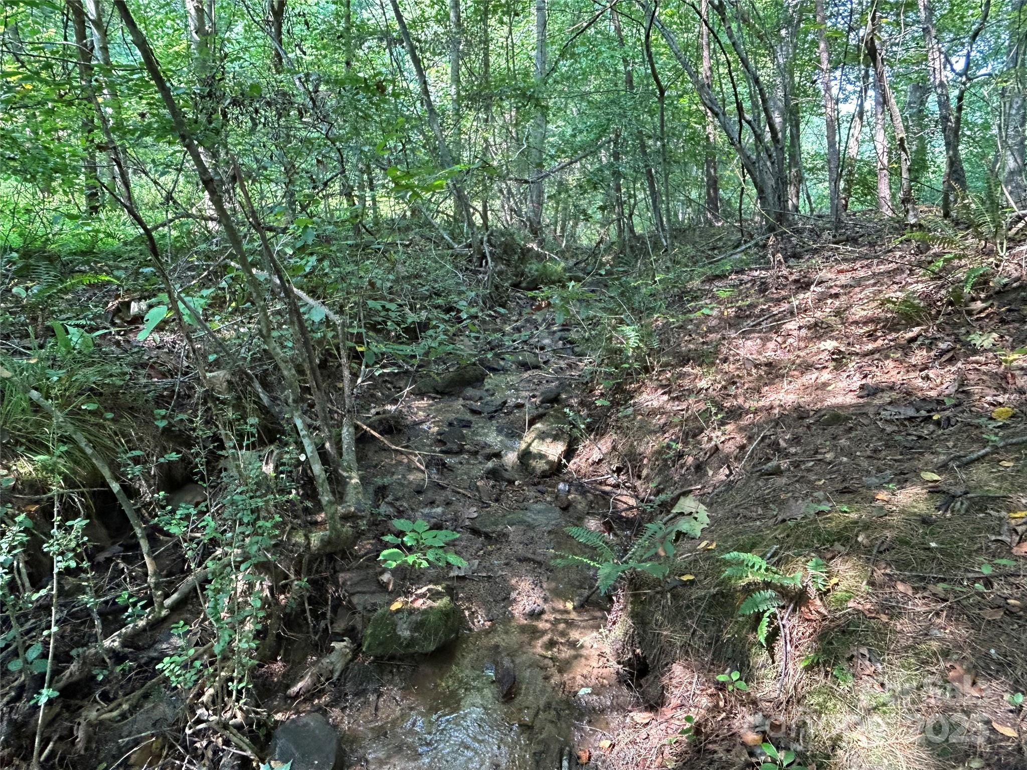 Lindon Cove Crossing - Land