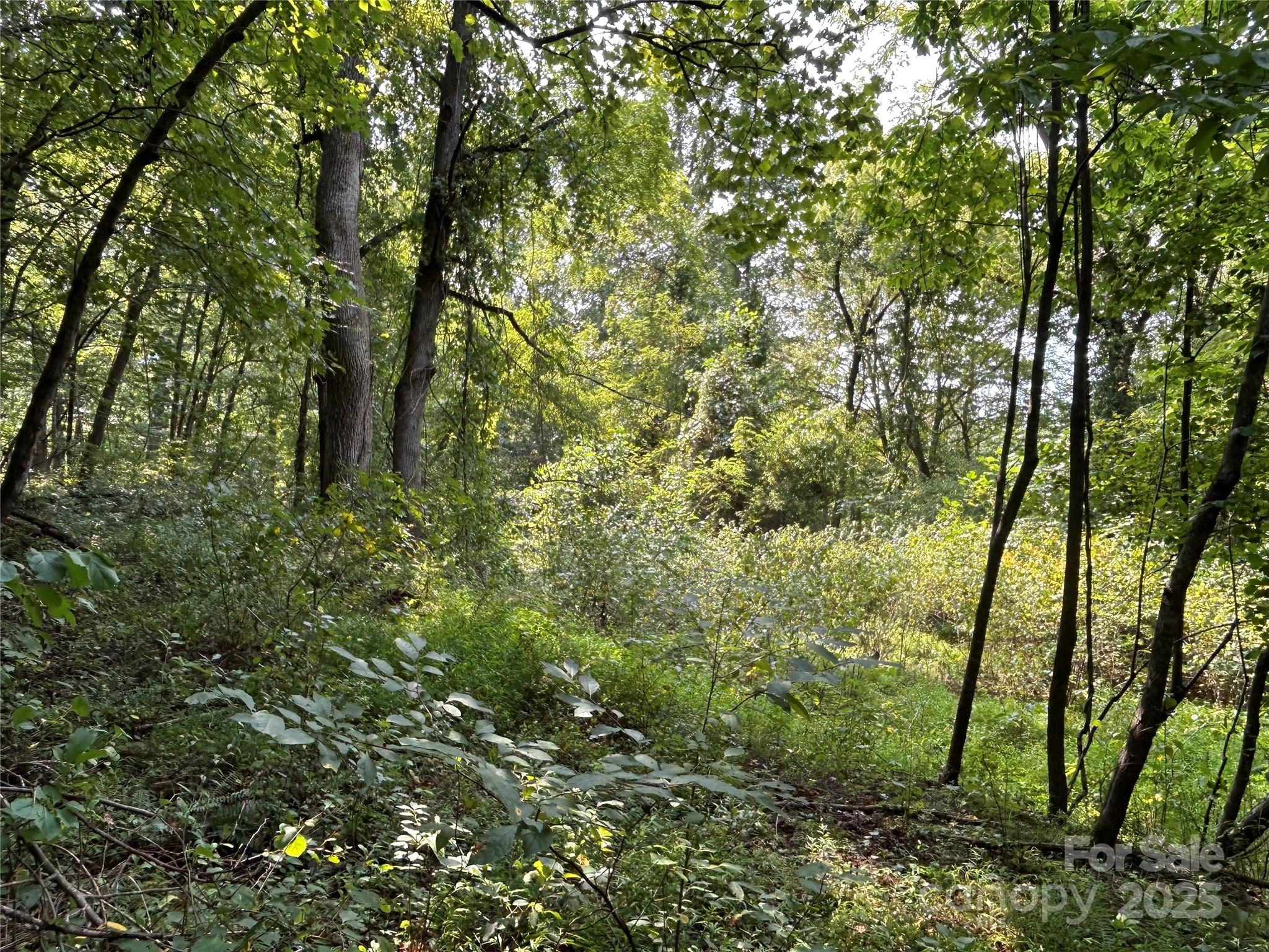 100 S Lindon Cove Road 35, 36